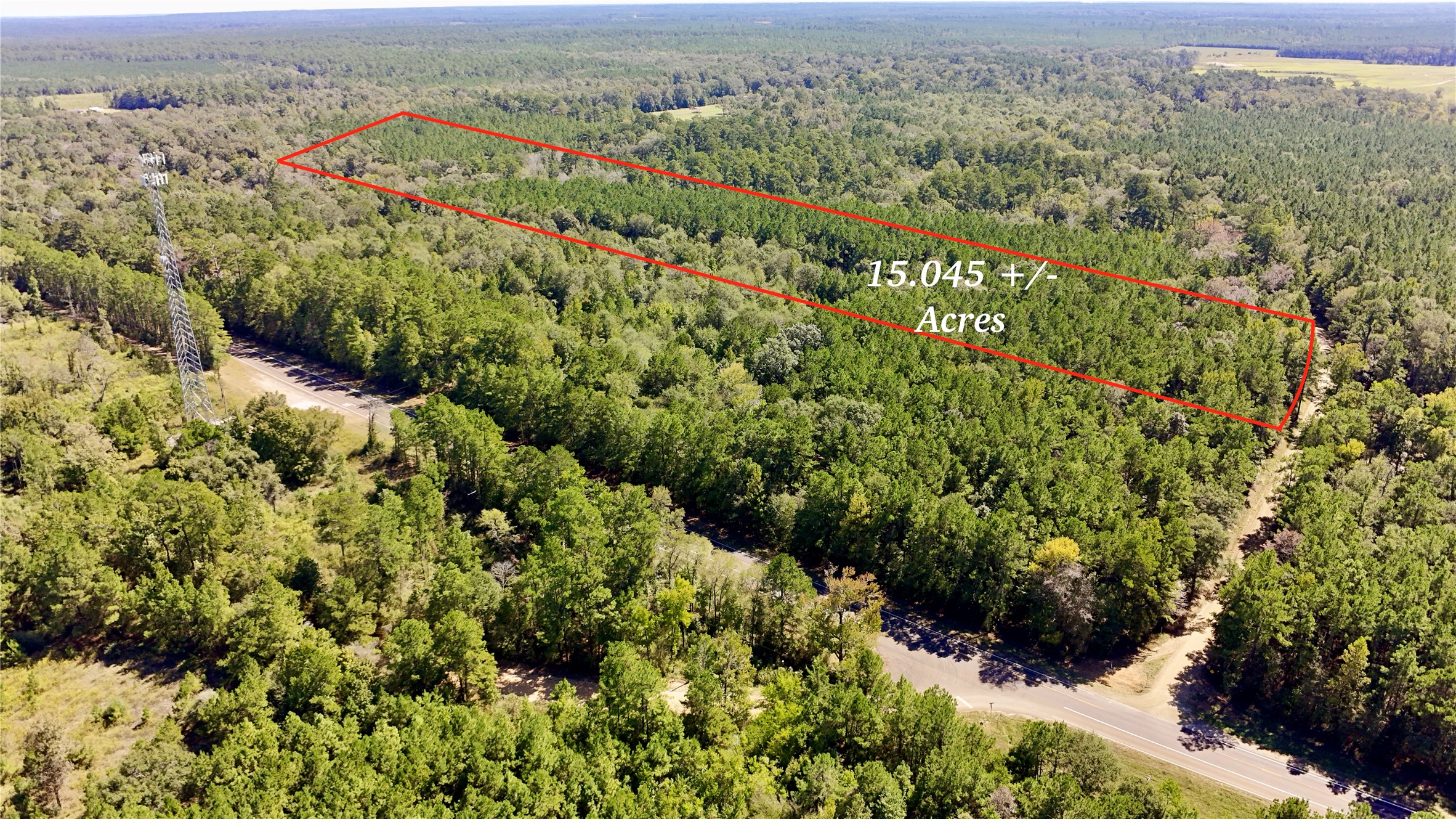 Tbd County Road 1058 Property Photo 44