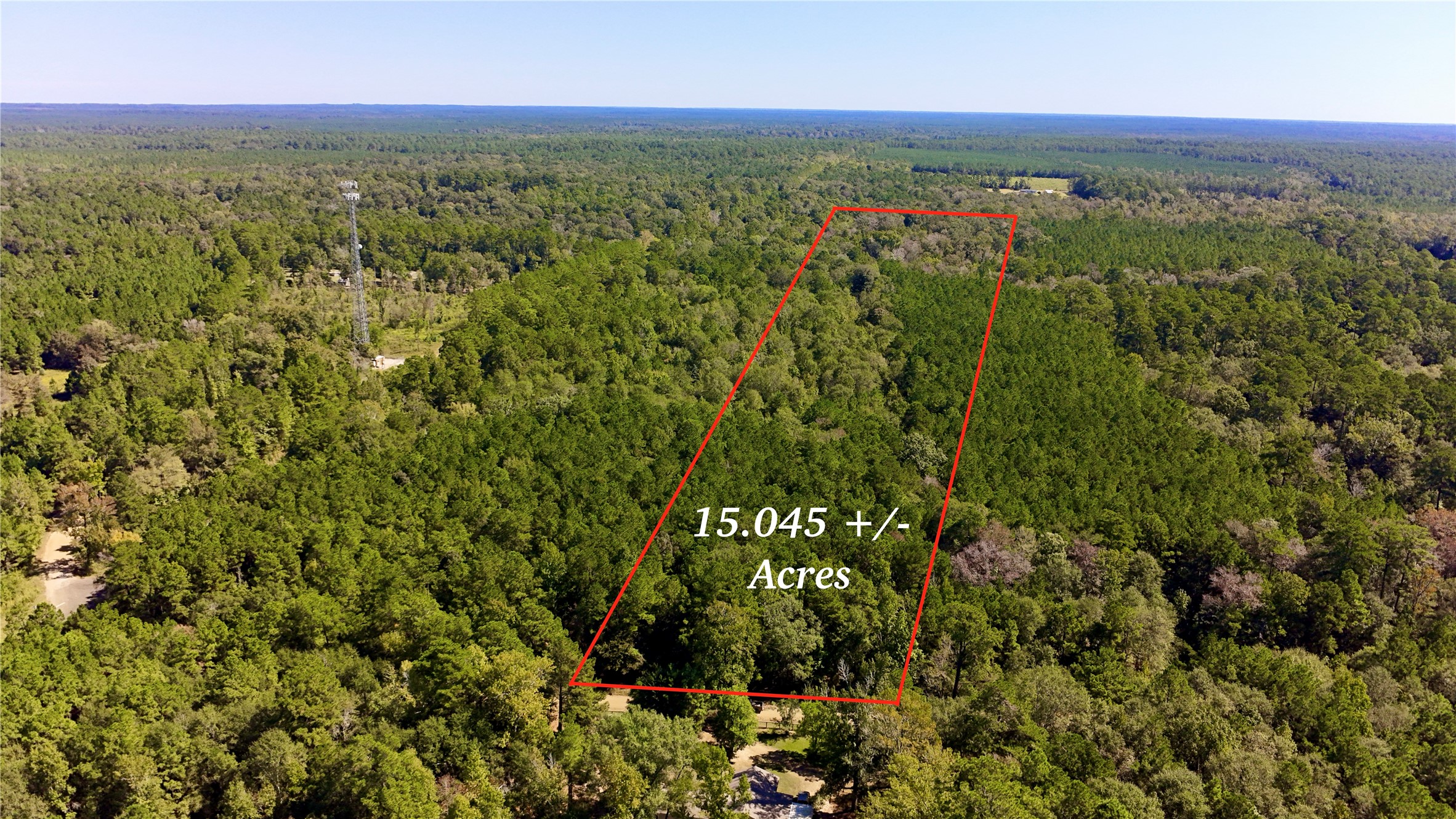 Tbd County Road 1058 Property Photo 45