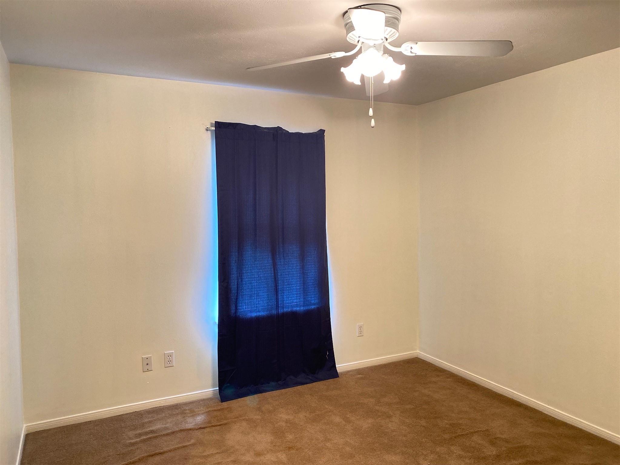 2733 Davis Avenue Property Photo 25