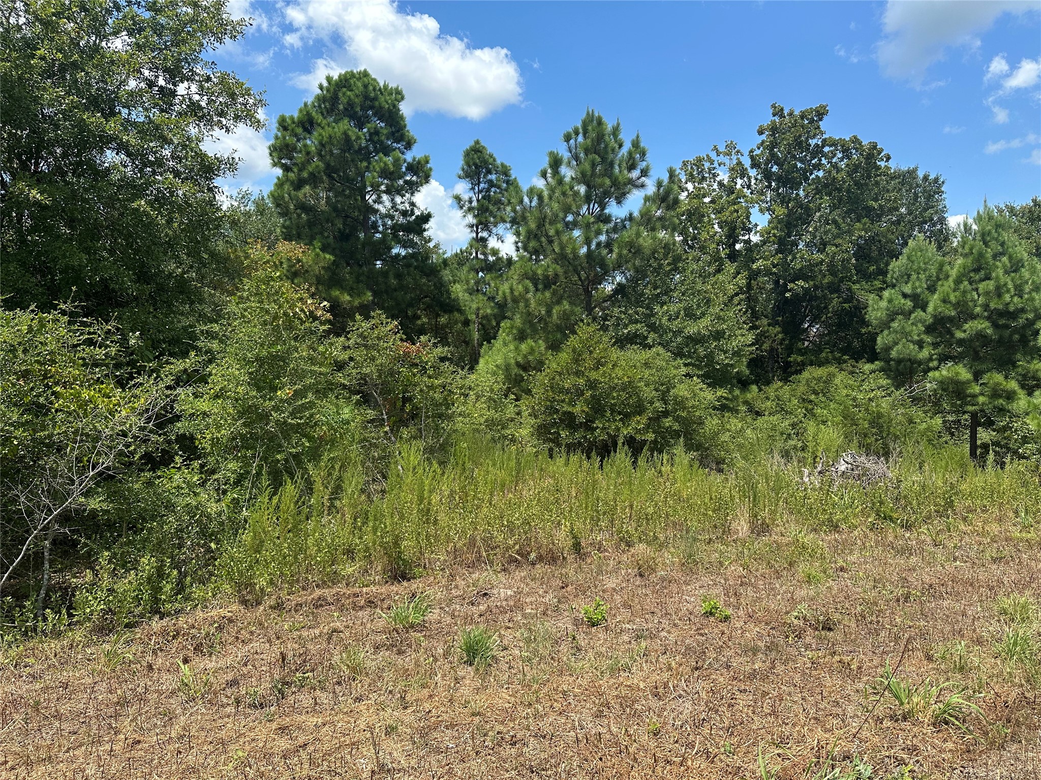 0 Tbd County Road 322 Property Photo 4