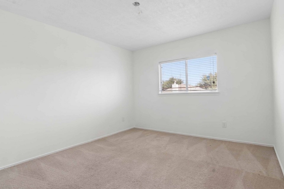 10418 Iris Lake Court Property Photo 22