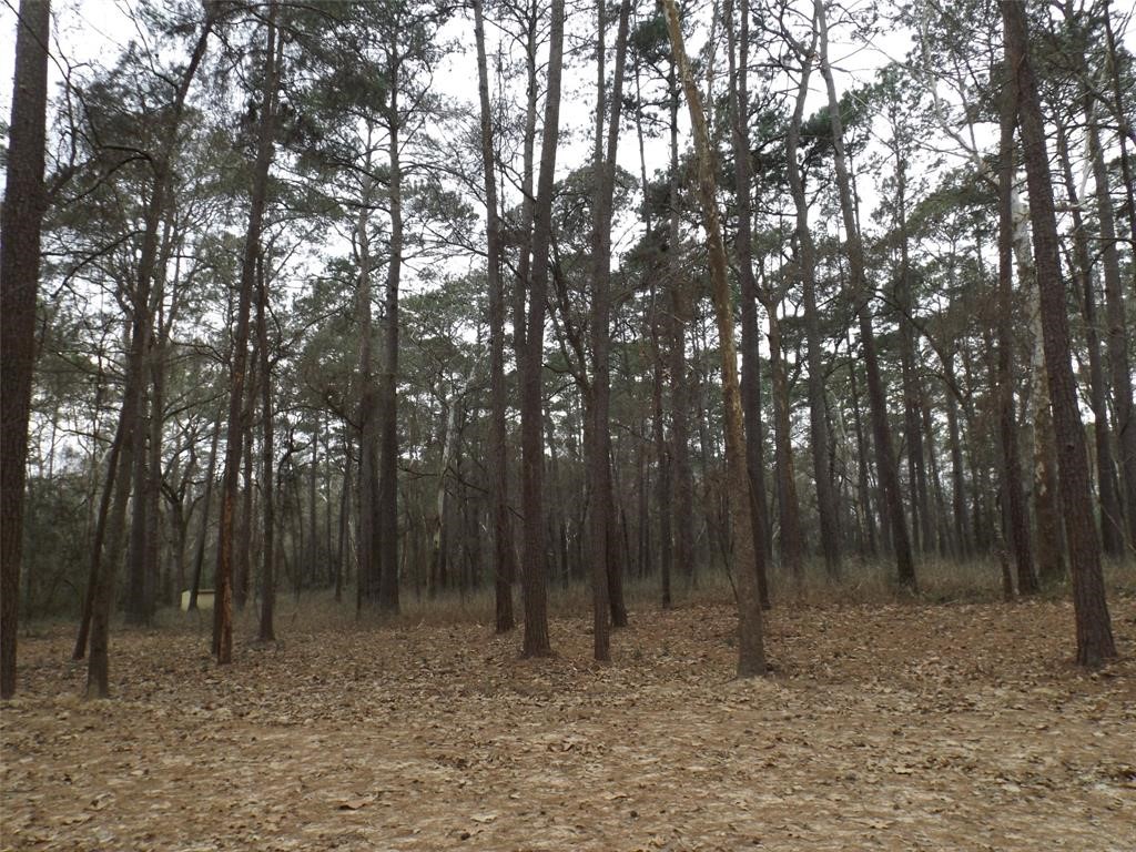24018 Crooked Creek Property Photo 1