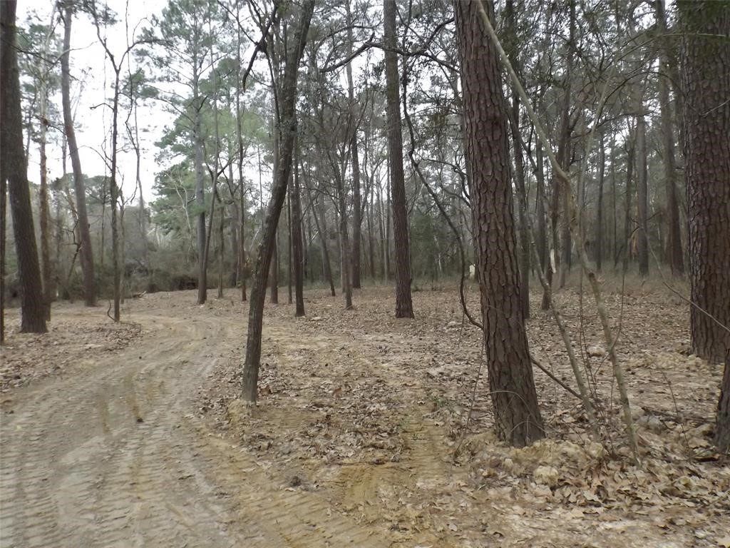 24018 Crooked Creek Property Photo 9