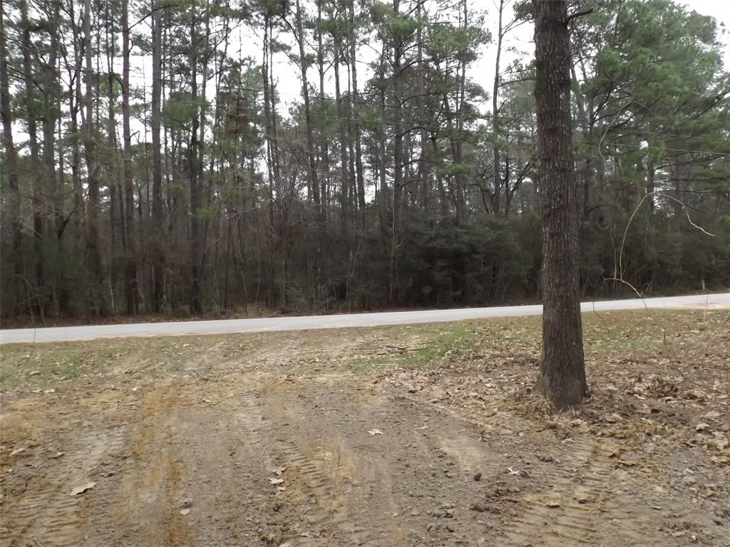 24018 Crooked Creek Property Photo 14