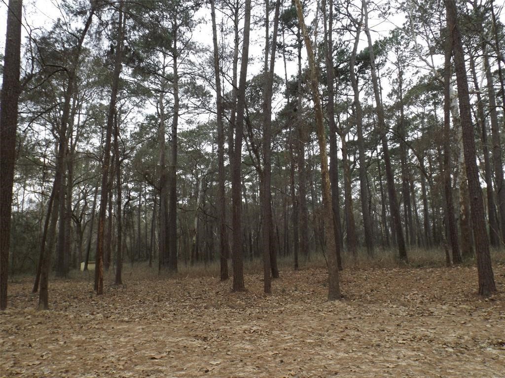 24018 Crooked Creek Property Photo 42