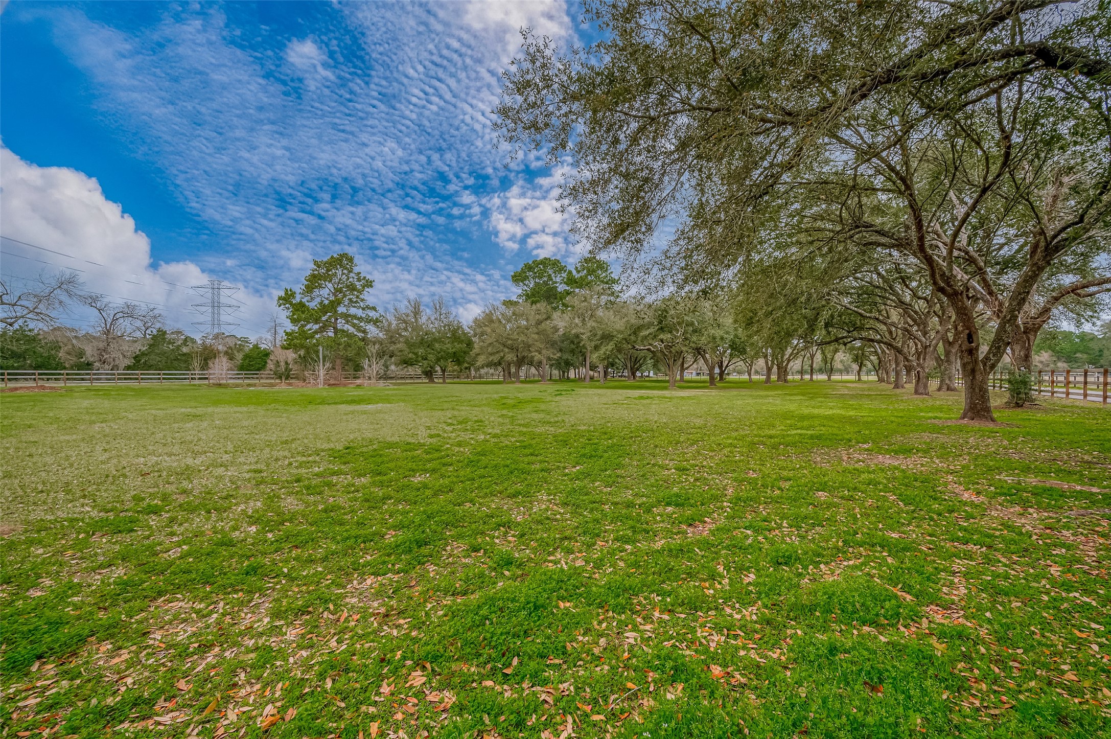 12122 Zion Road Property Photo 14