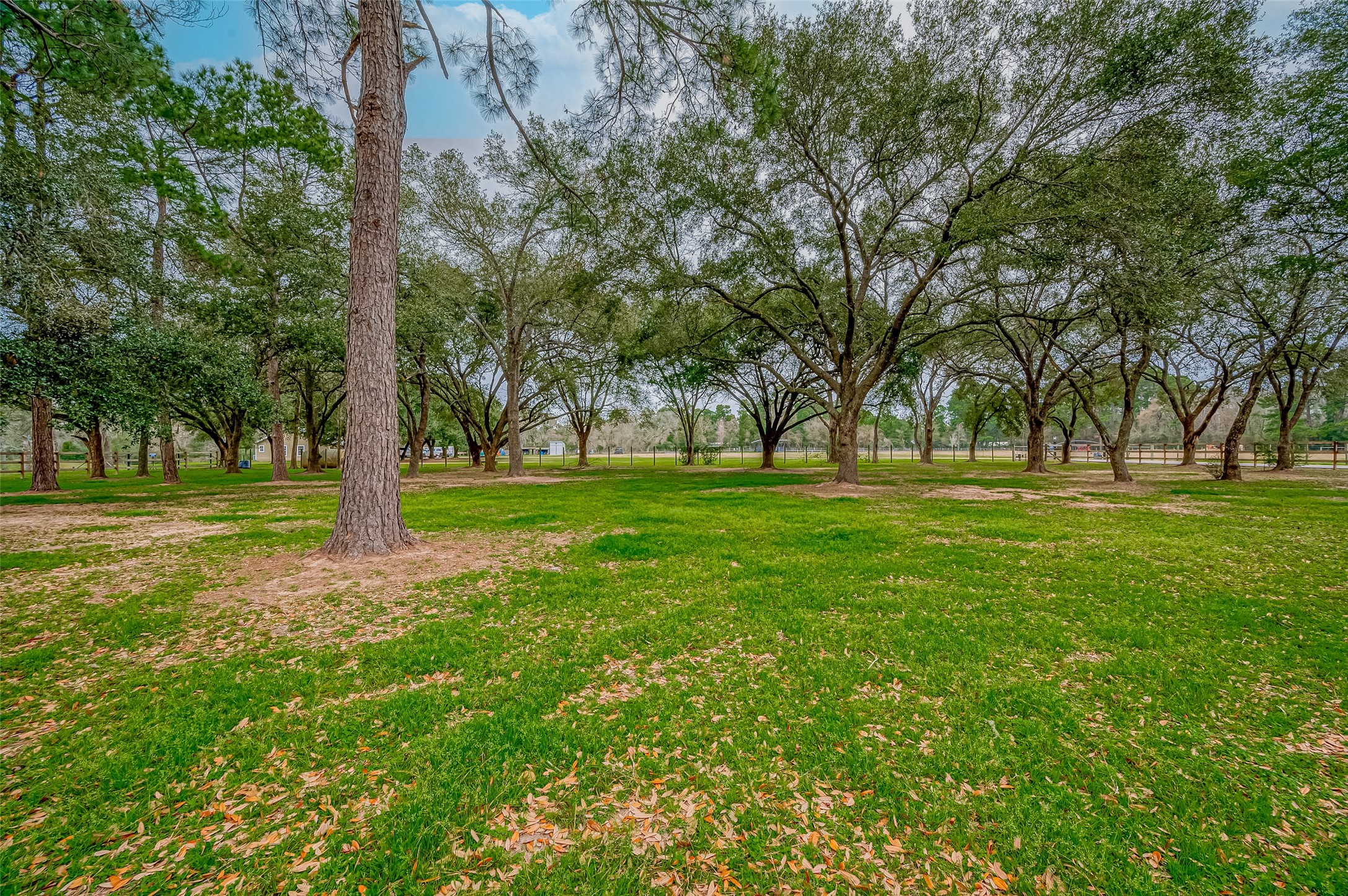 12122 Zion Road Property Photo 15
