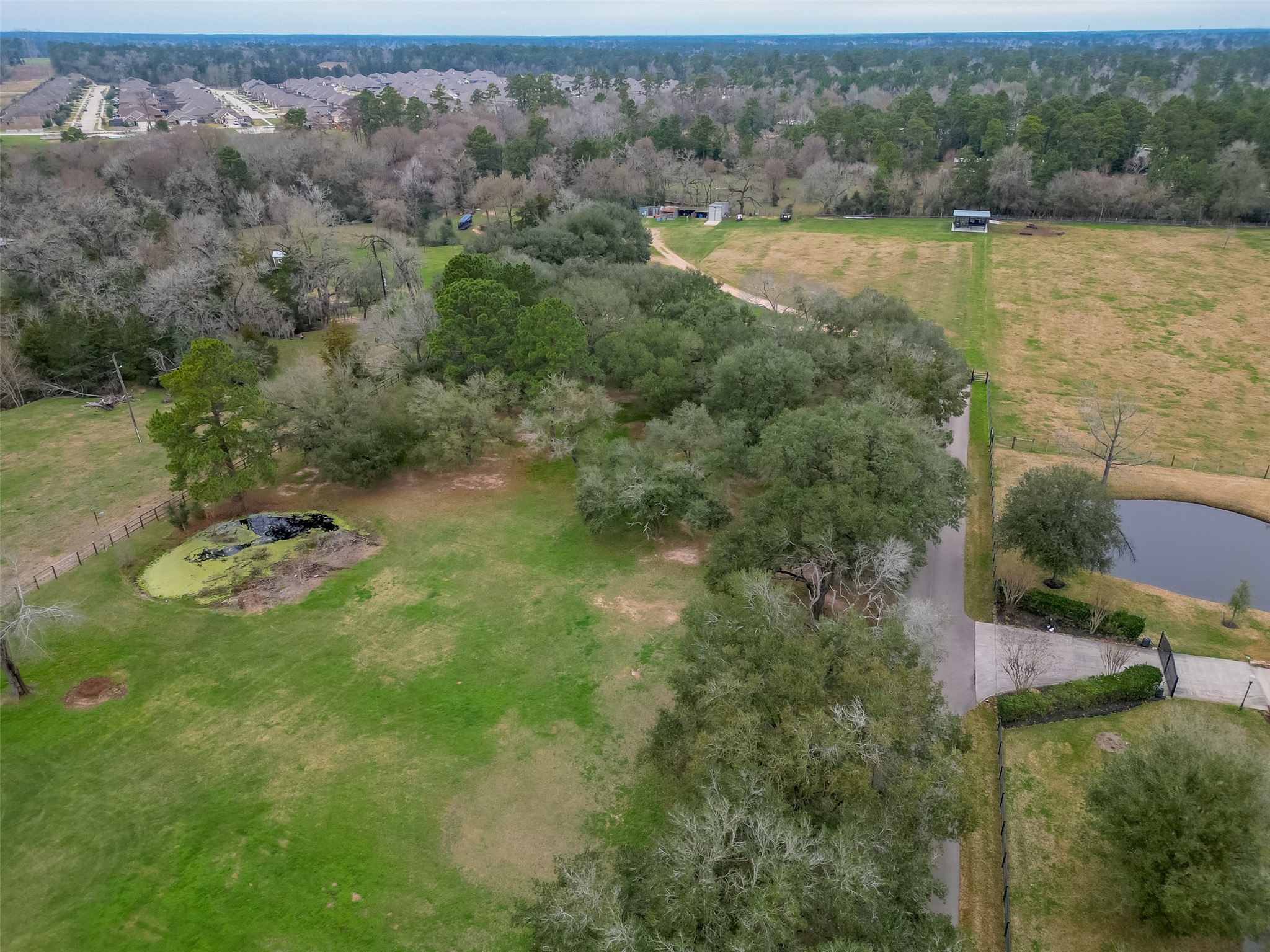 12122 Zion Road Property Photo 17