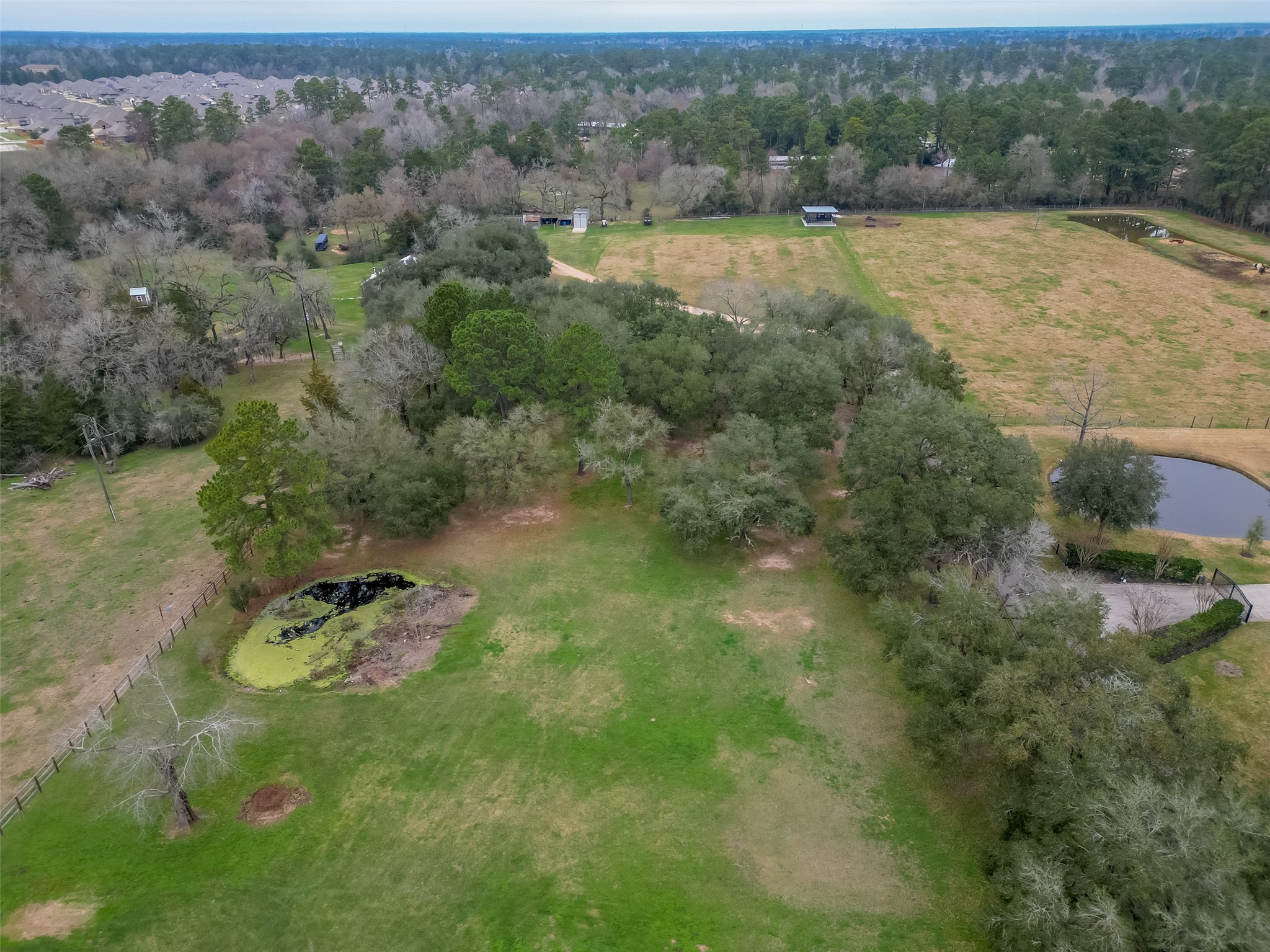 12122 Zion Road Property Photo 18