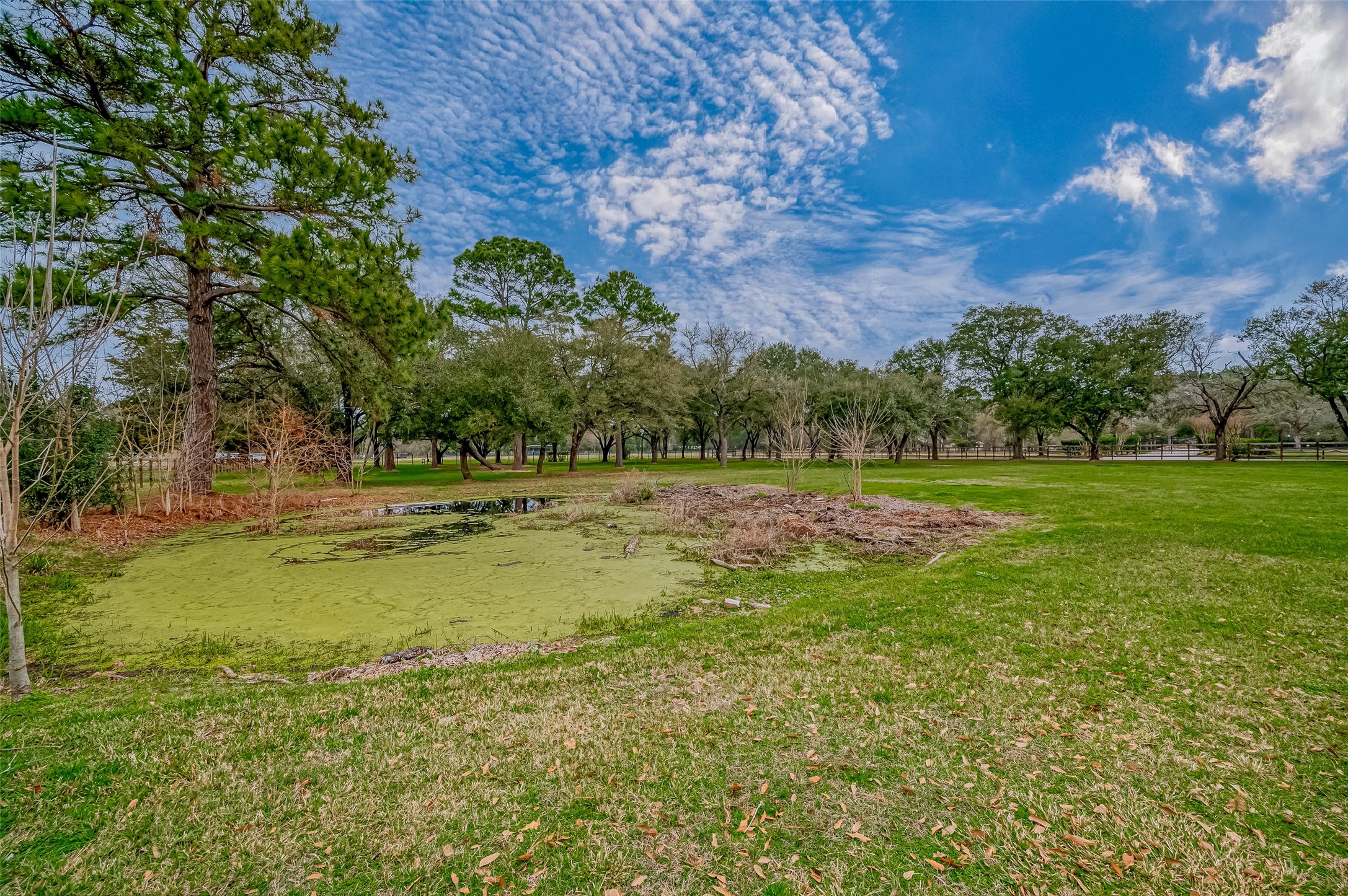 12122 Zion Road Property Photo 22