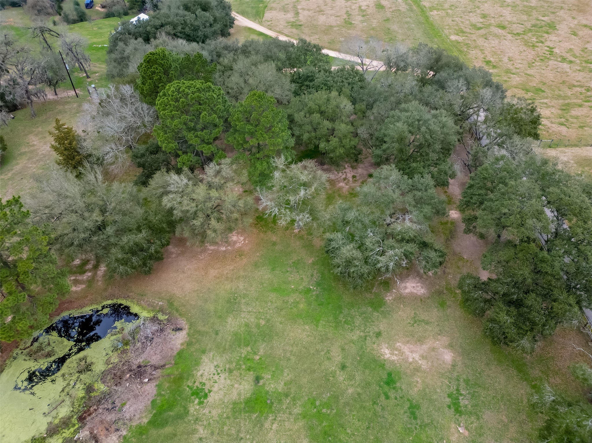 12122 Zion Road Property Photo 28