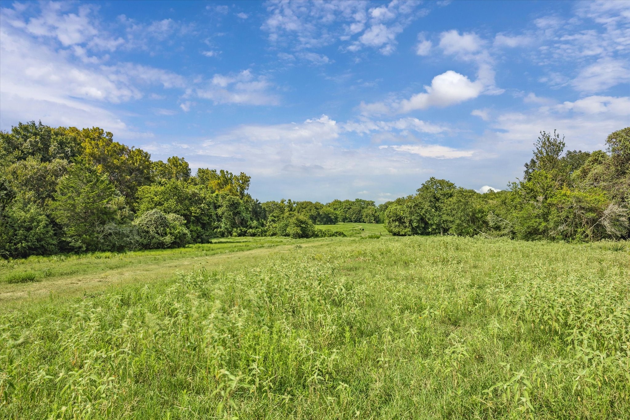 3824 Fm 949 Property Photo 28