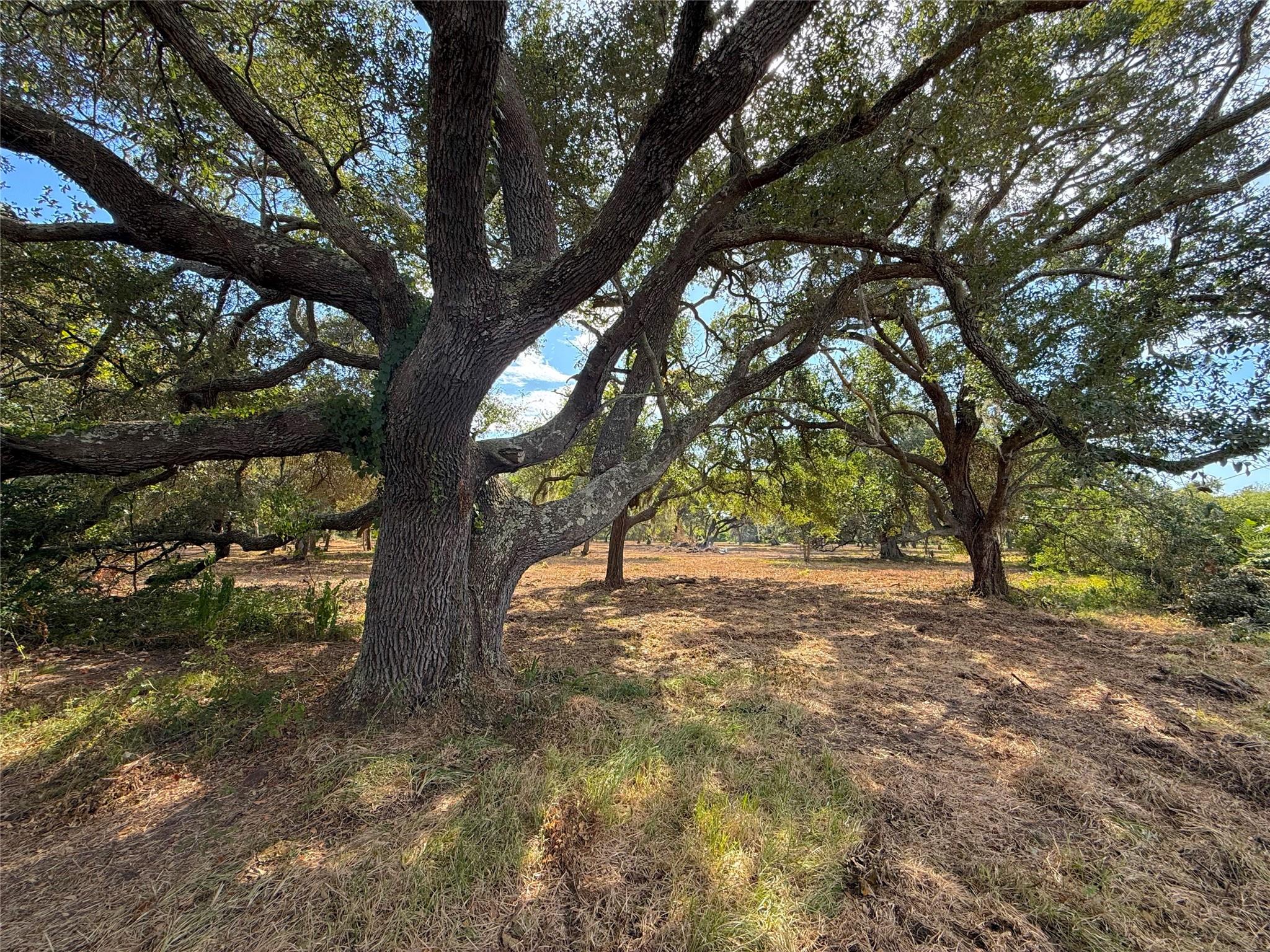 Lot 1 S F Austin, Freeport TX 77541 Property Photo 1