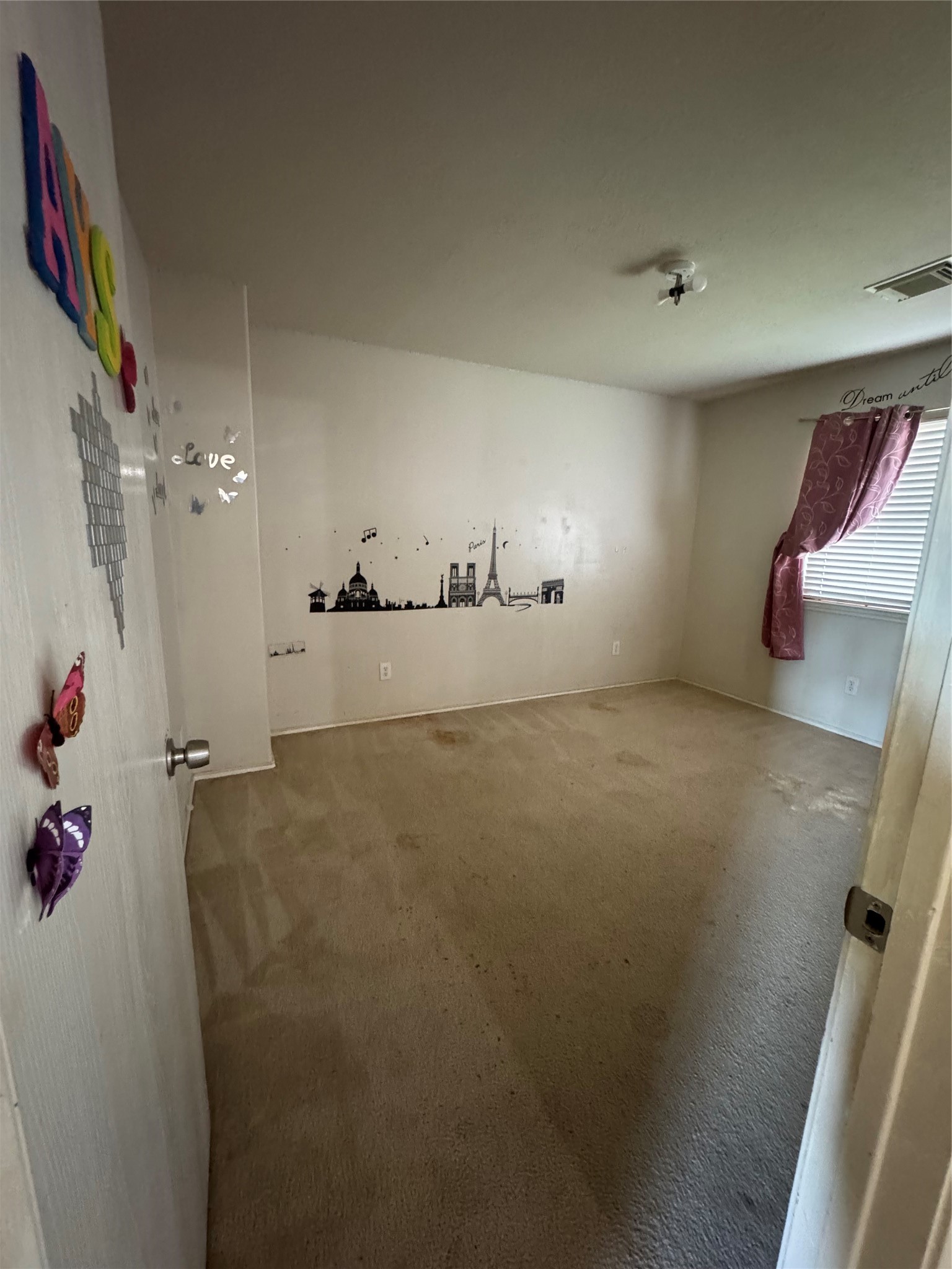 1011 Lancaster Lake Drive Property Photo 8