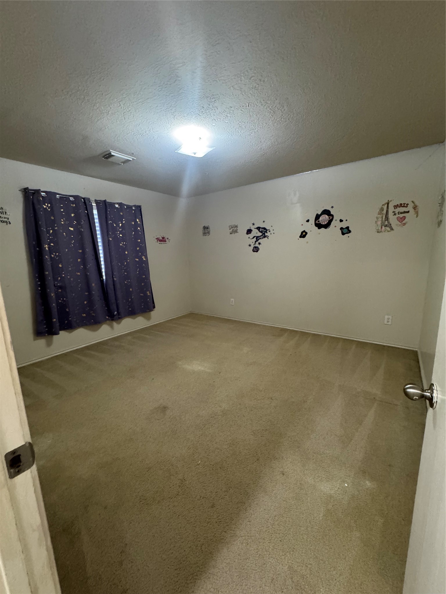 1011 Lancaster Lake Drive Property Photo 9