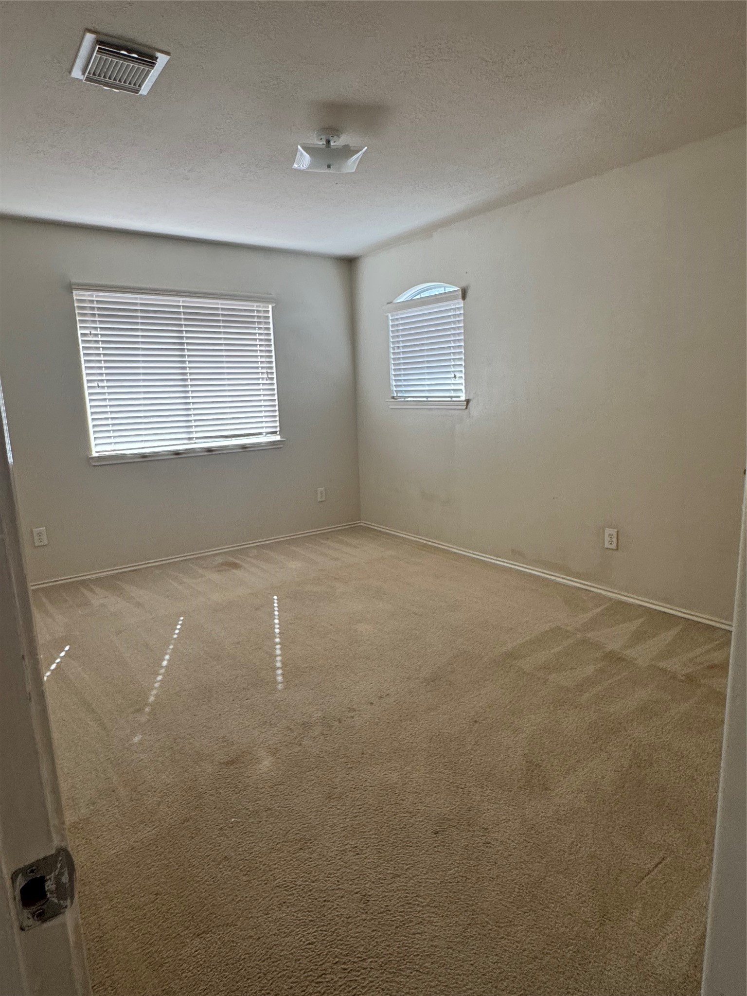1011 Lancaster Lake Drive Property Photo 10