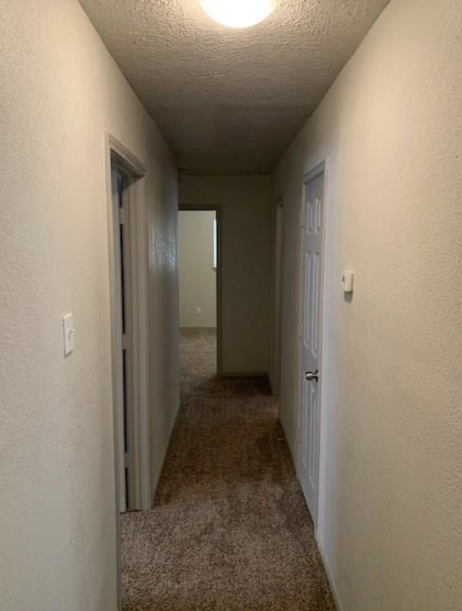 8711 Valley Pond Court Property Photo 7