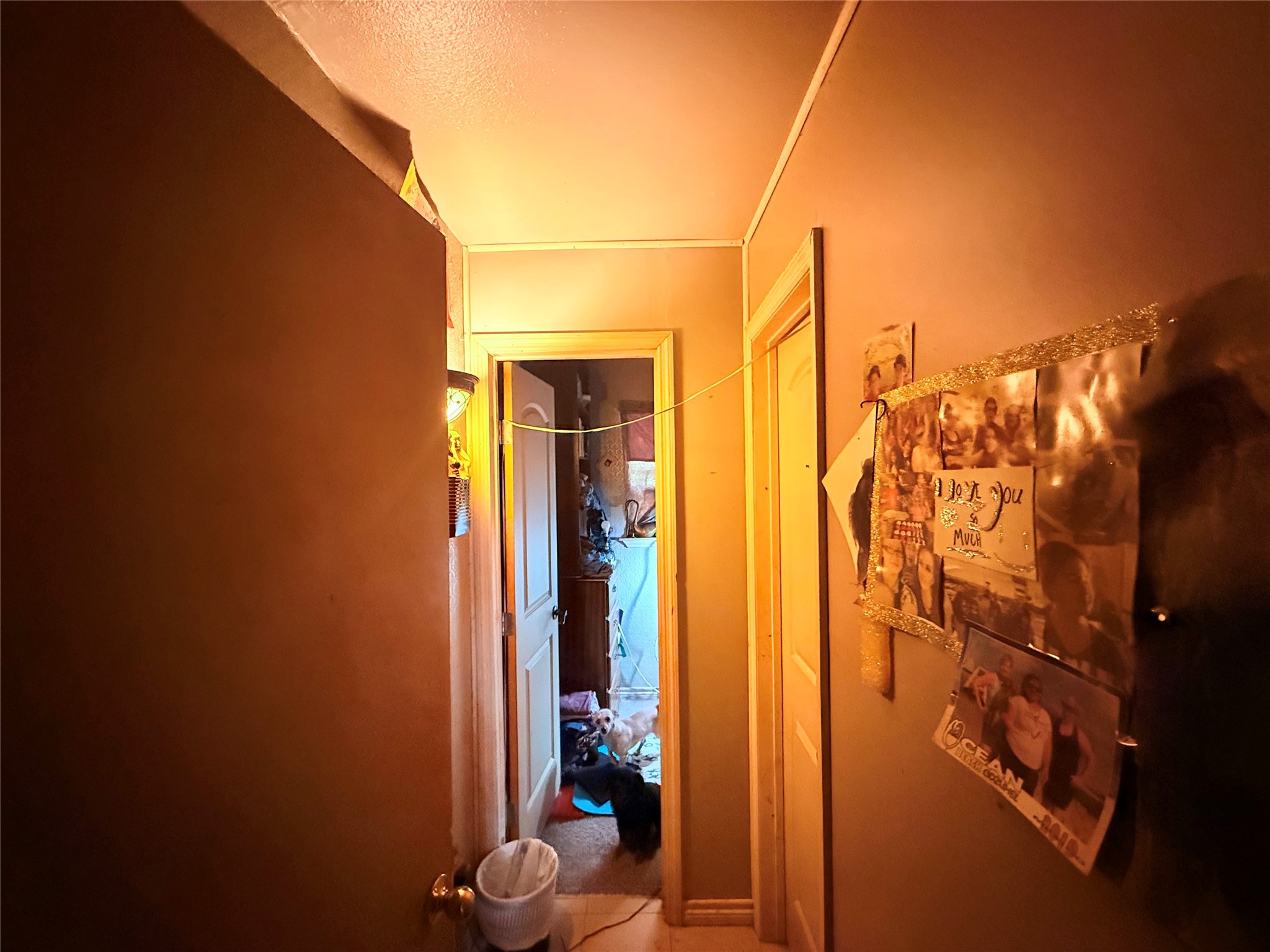 5152 Mustang Road Property Photo 11