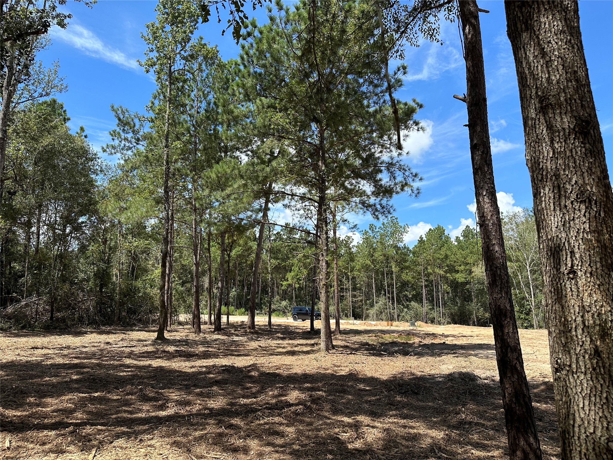 4609 High Meadow West Court Property Photo 2