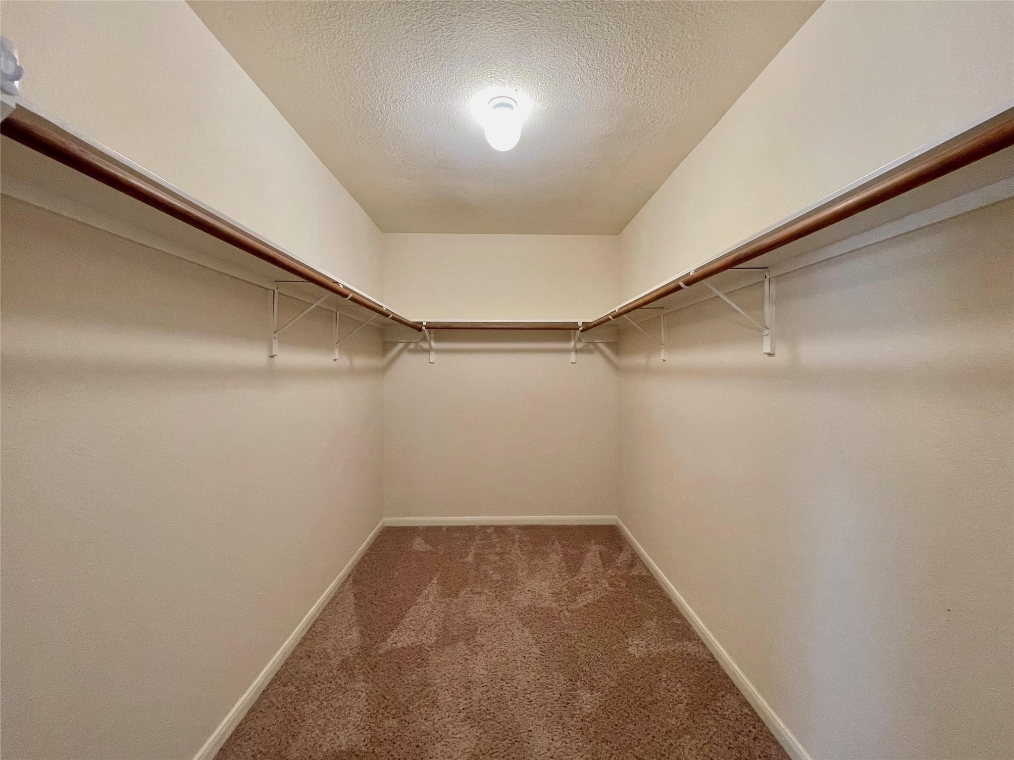 21807 Olympia Springs Lane Property Photo 19