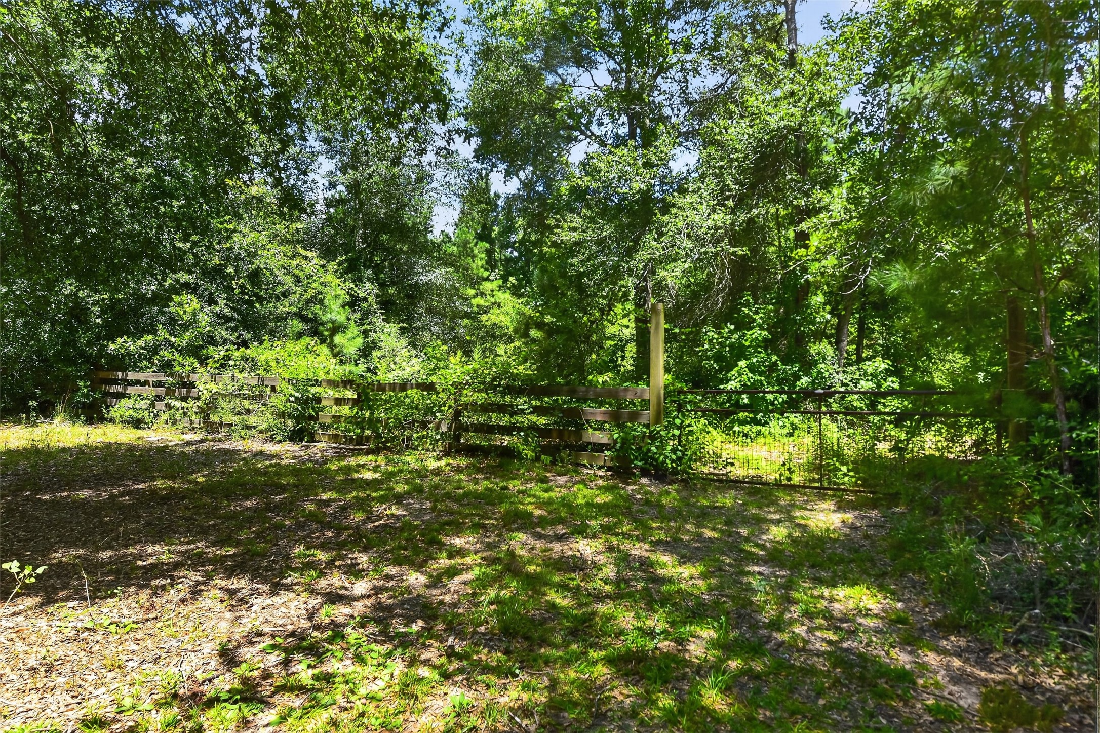 21371 Doru Drive Property Photo 28