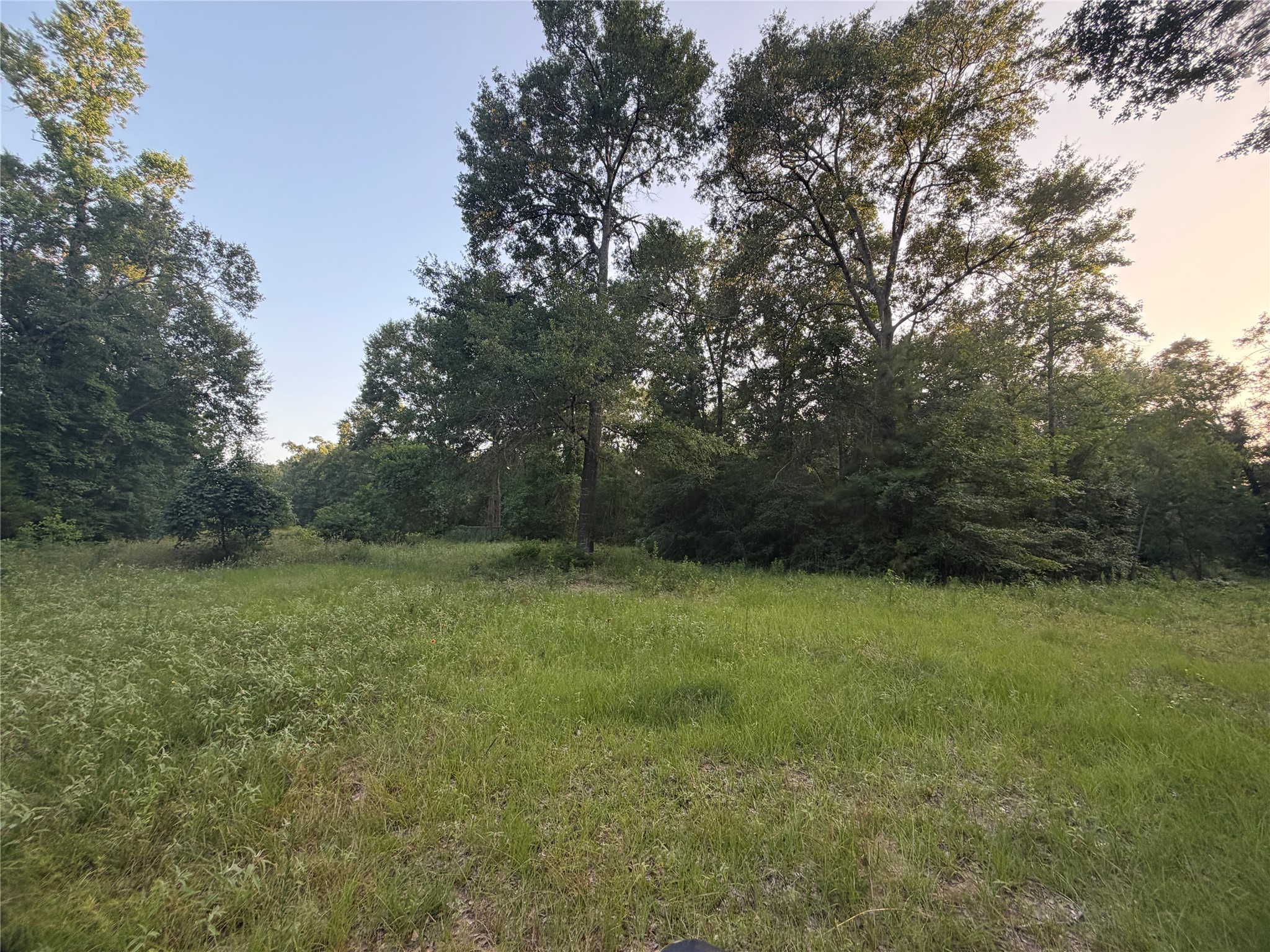 9846 Post Oak Cemetery Road Property Photo 48