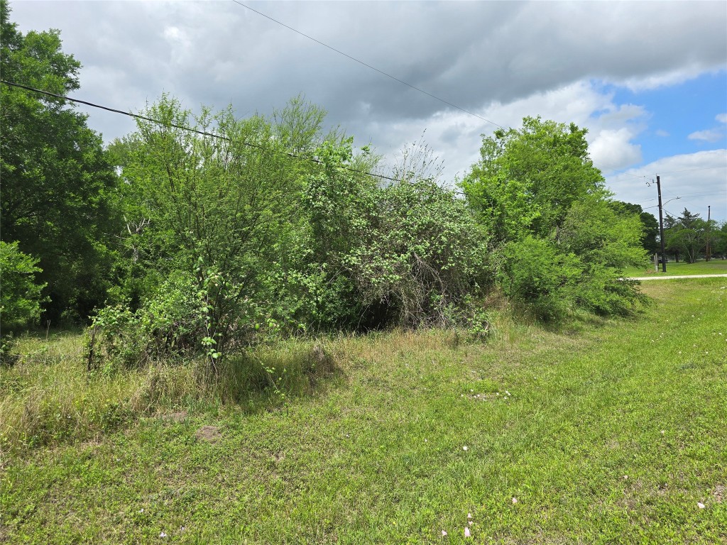 000 Nicolas Bravo Street Property Photo 3