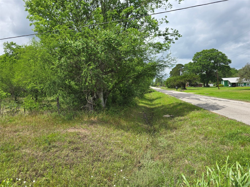 000 Nicolas Bravo Street Property Photo 4