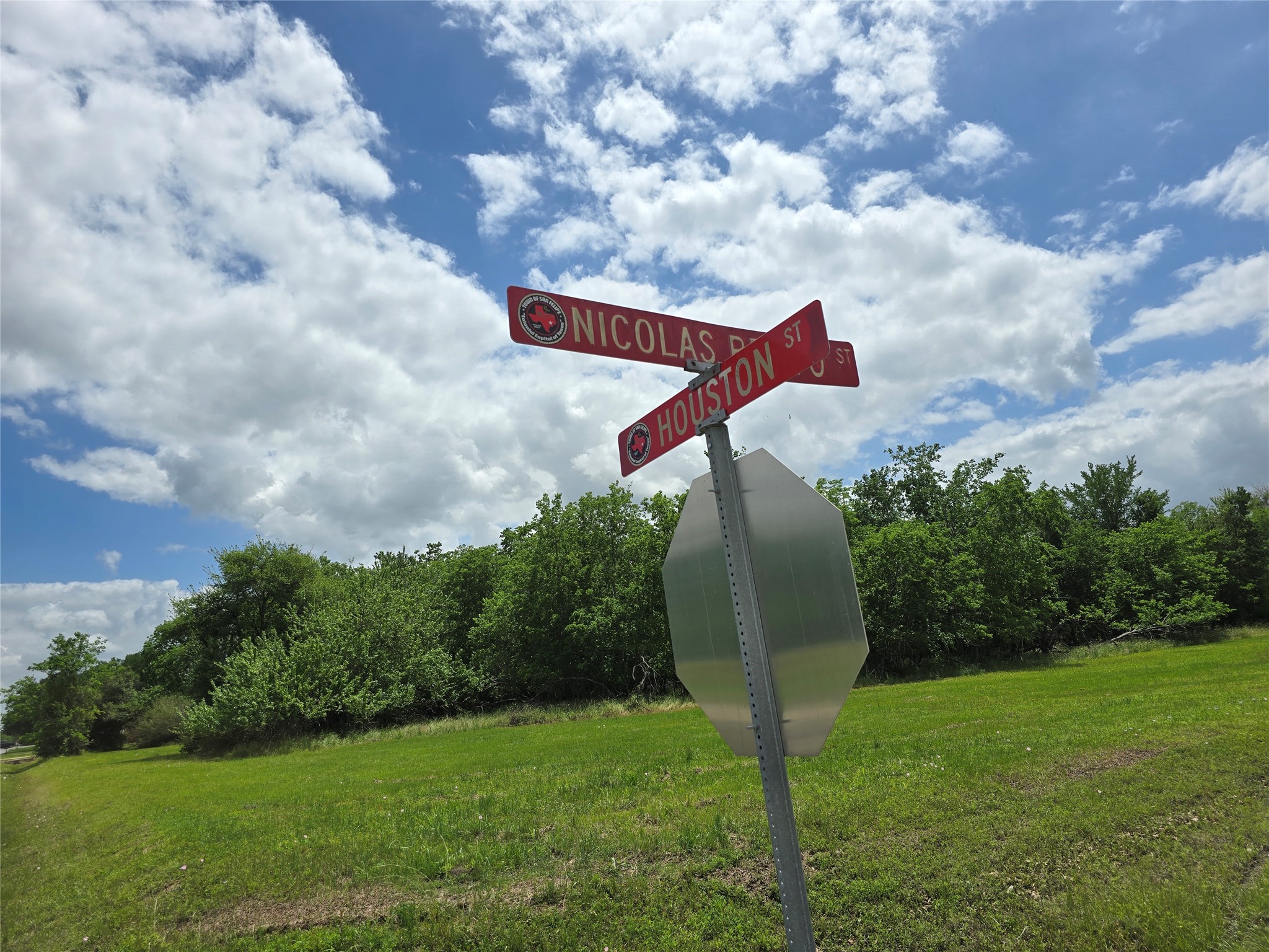 000 Nicolas Bravo Street Property Photo 6
