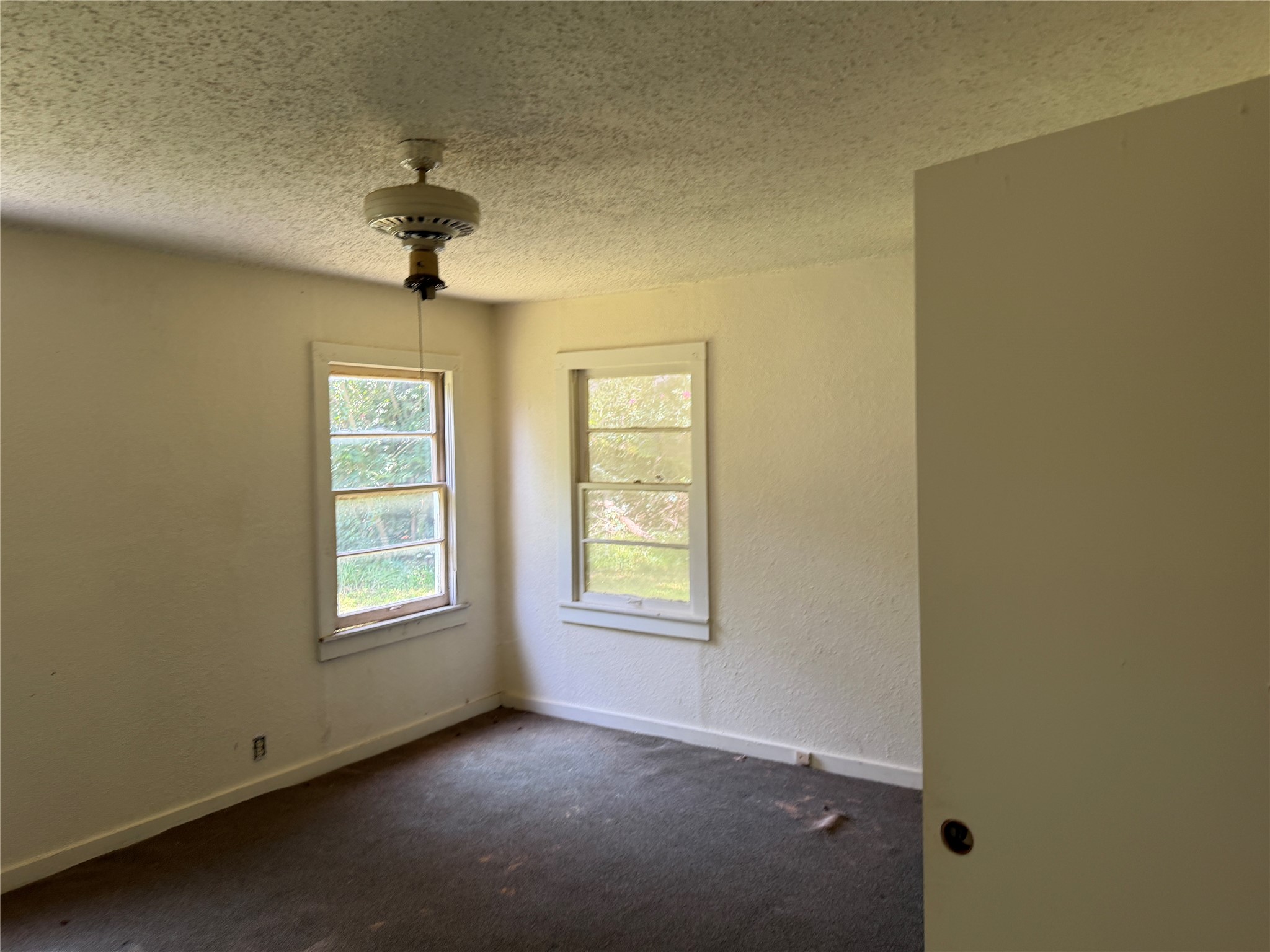 509 E Martin Luther King Boulevard Property Photo 15
