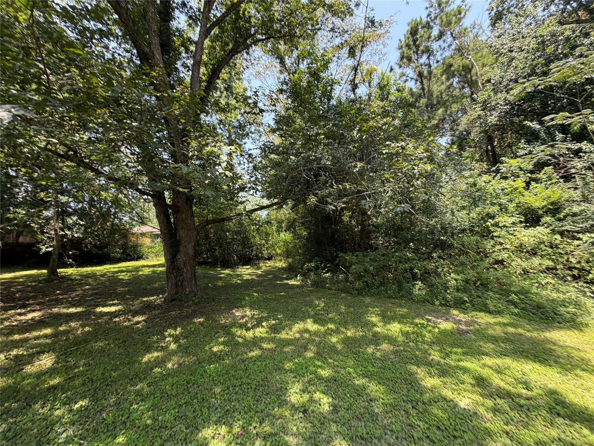 509 E Martin Luther King Boulevard Property Photo 20