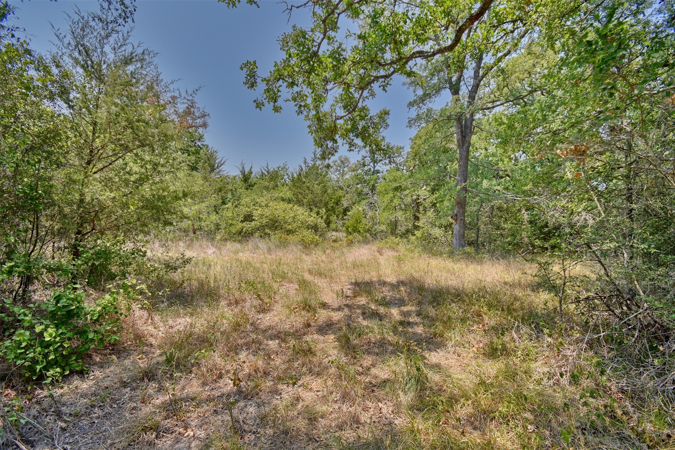000 Fm 60 Property Photo 6