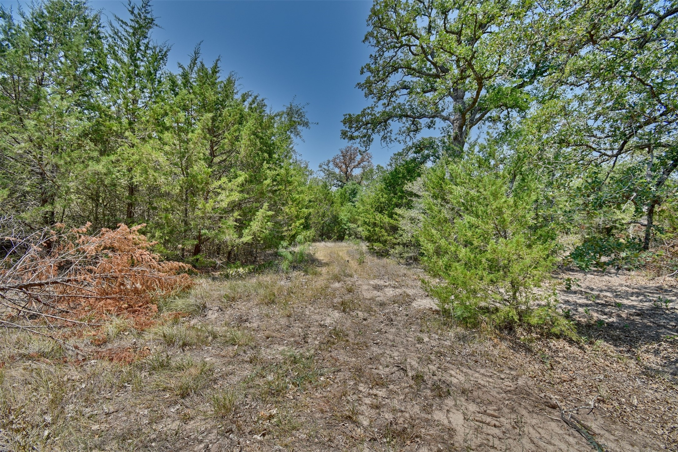 000 Fm 60 Property Photo 7