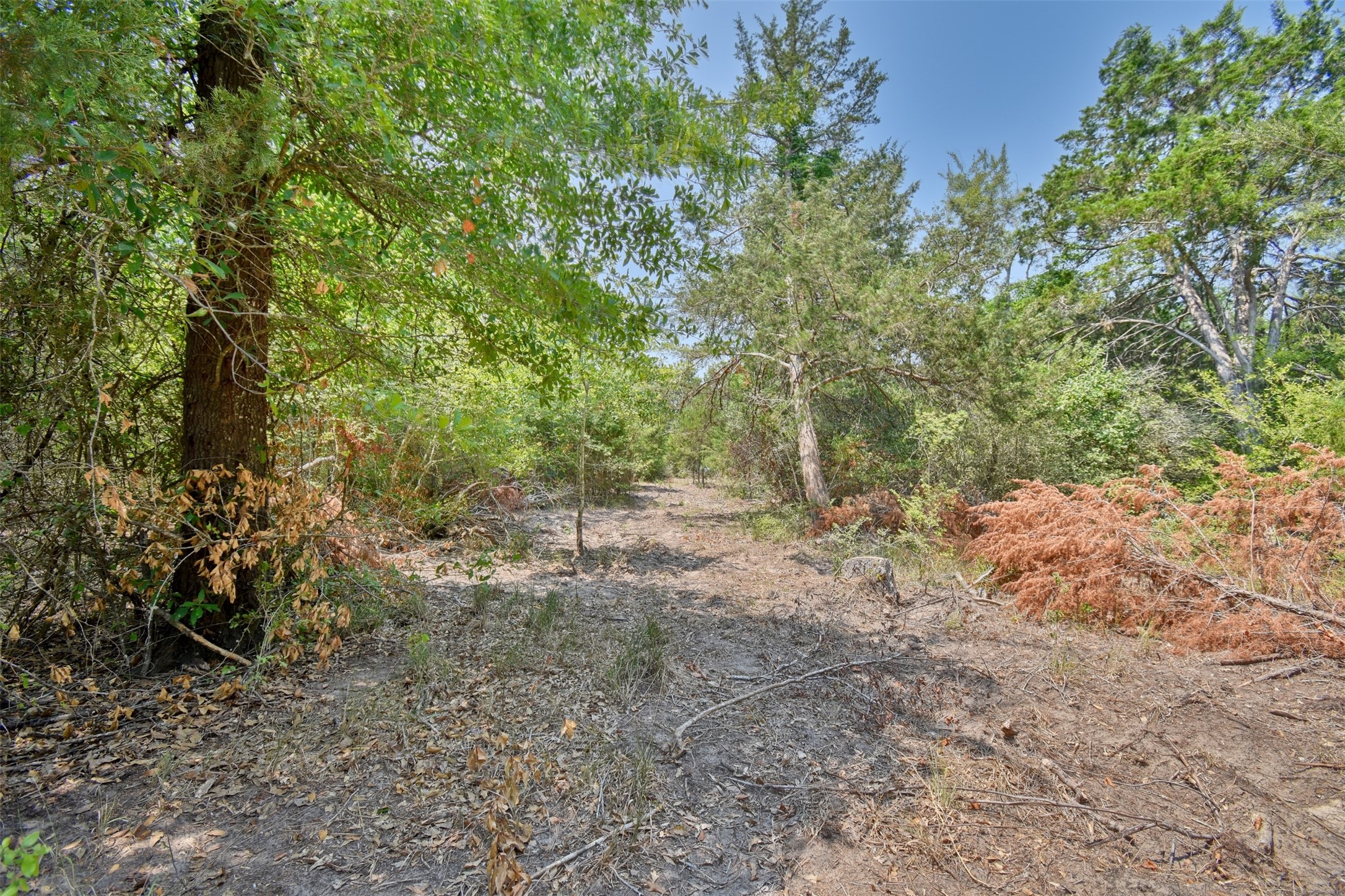000 Fm 60 Property Photo 8