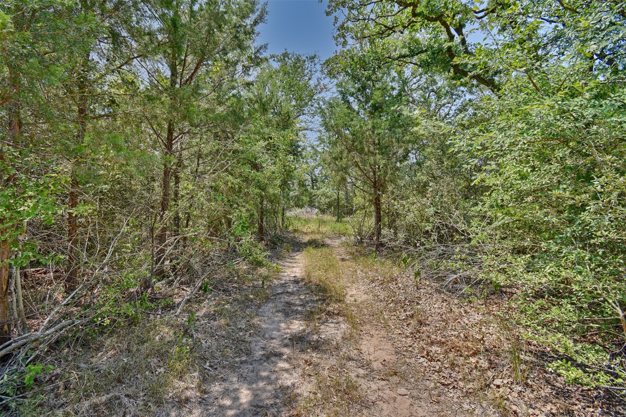 000 Fm 60 Property Photo 10