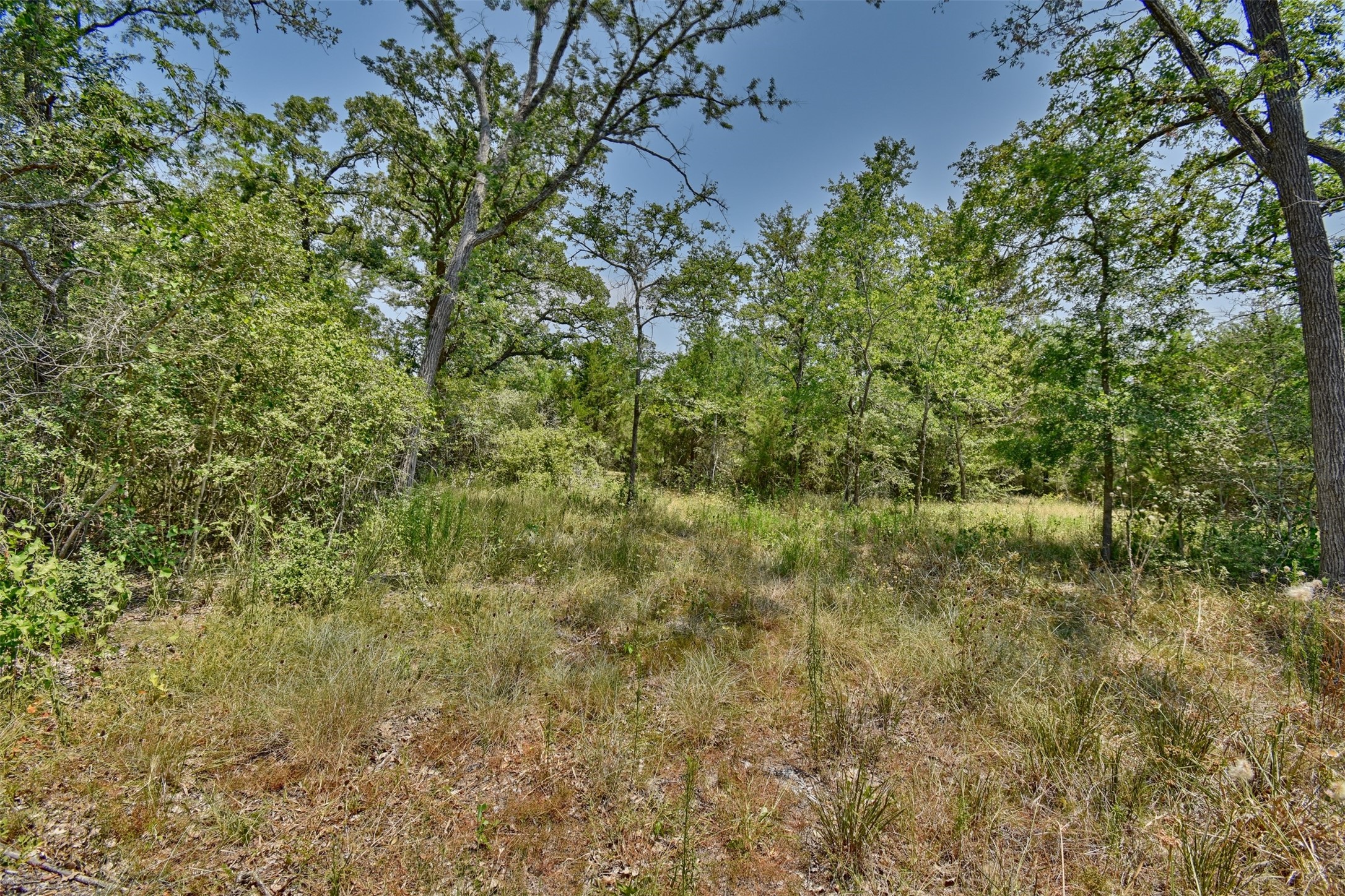 000 Fm 60 Property Photo 11