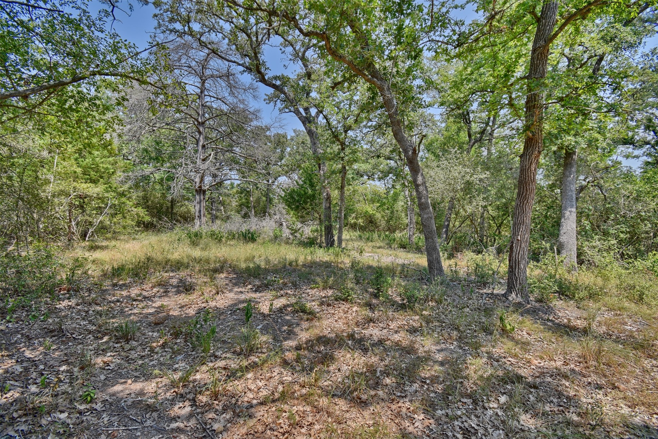 000 Fm 60 Property Photo 12