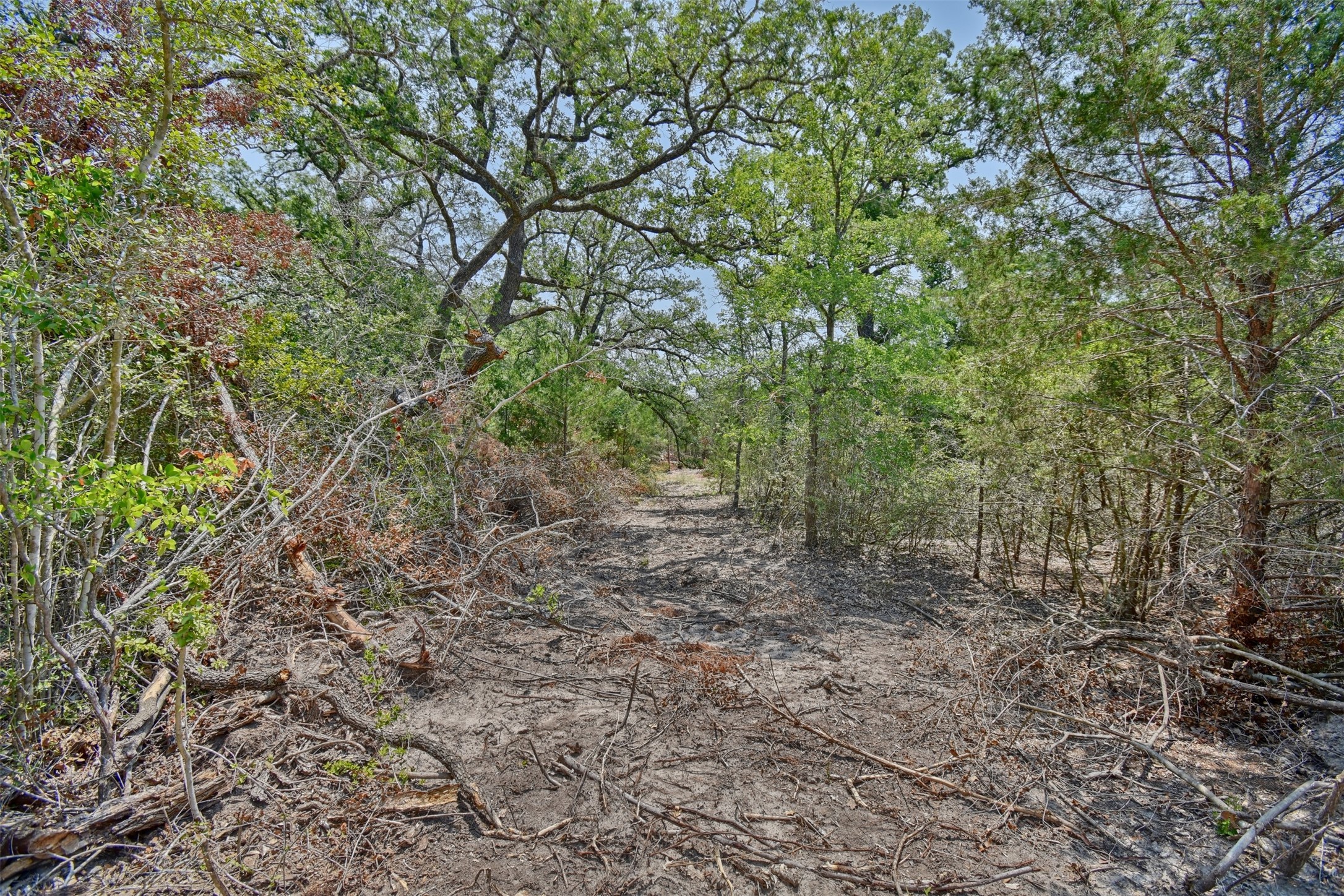 000 Fm 60 Property Photo 15