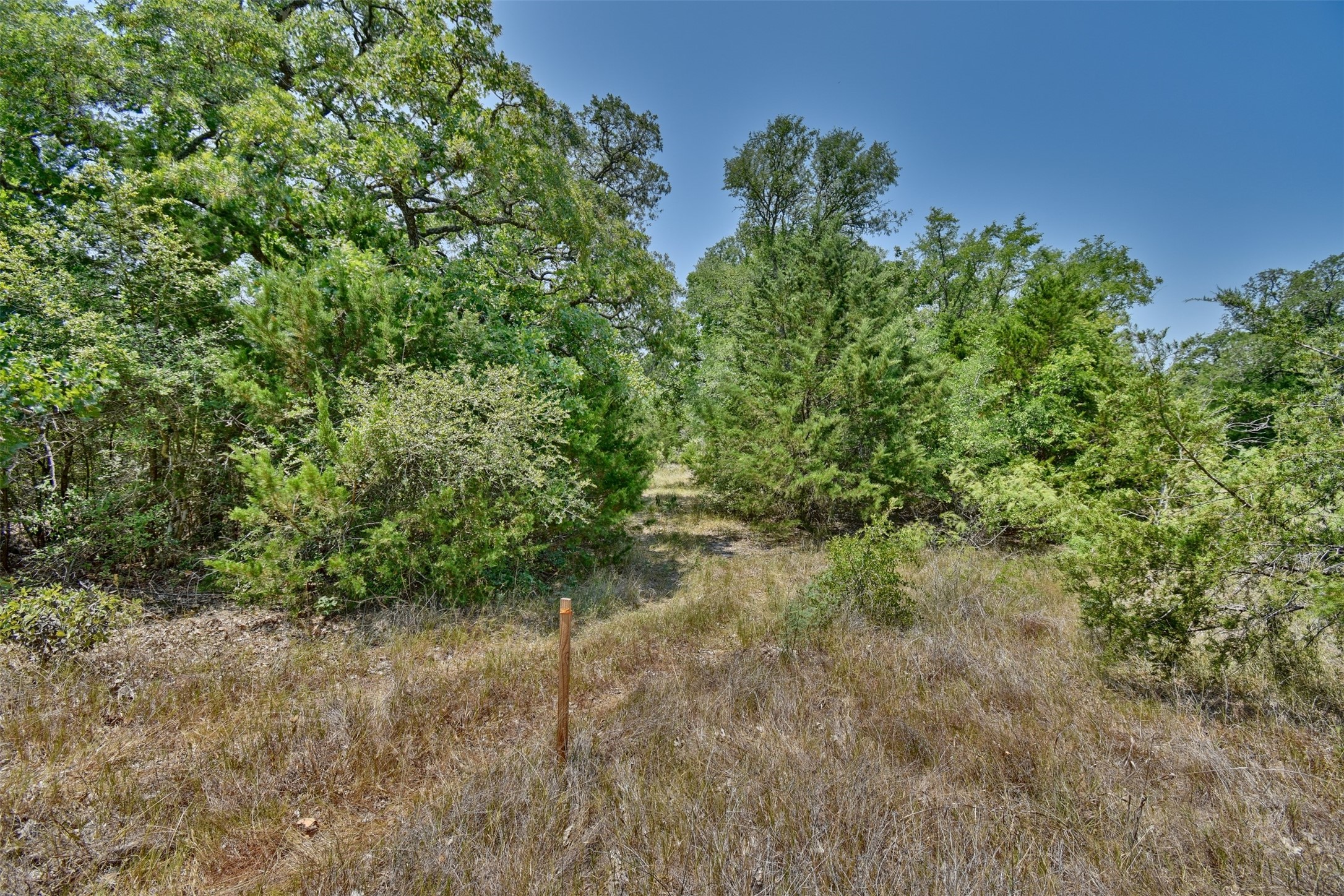 000 Fm 60 Property Photo 16