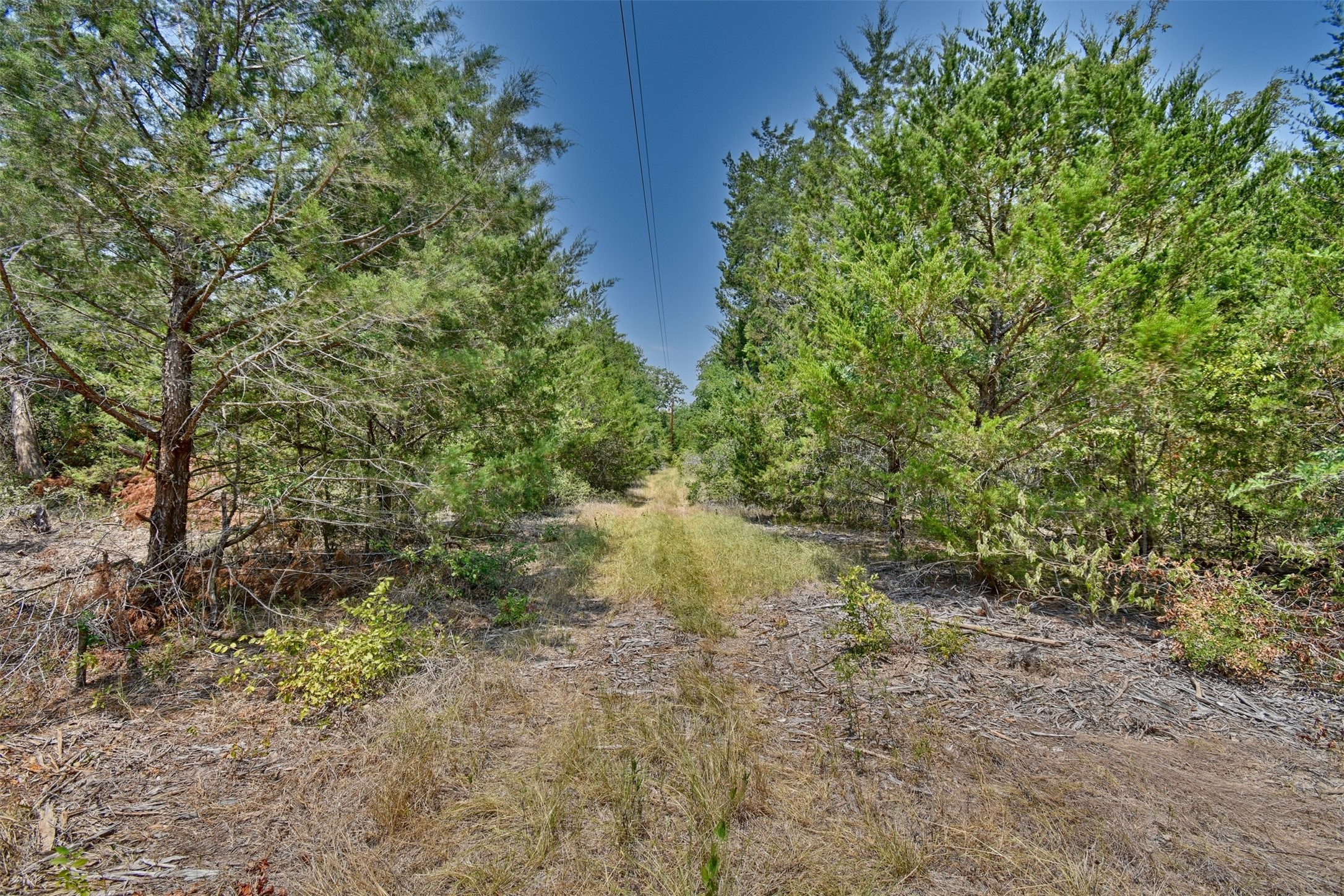 000 Fm 60 Property Photo 17