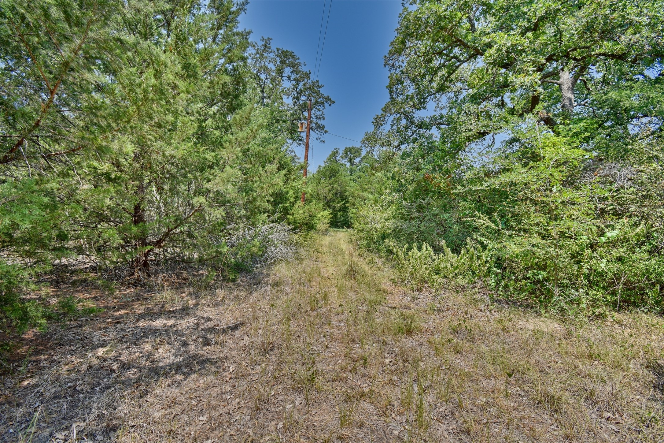 000 Fm 60 Property Photo 19