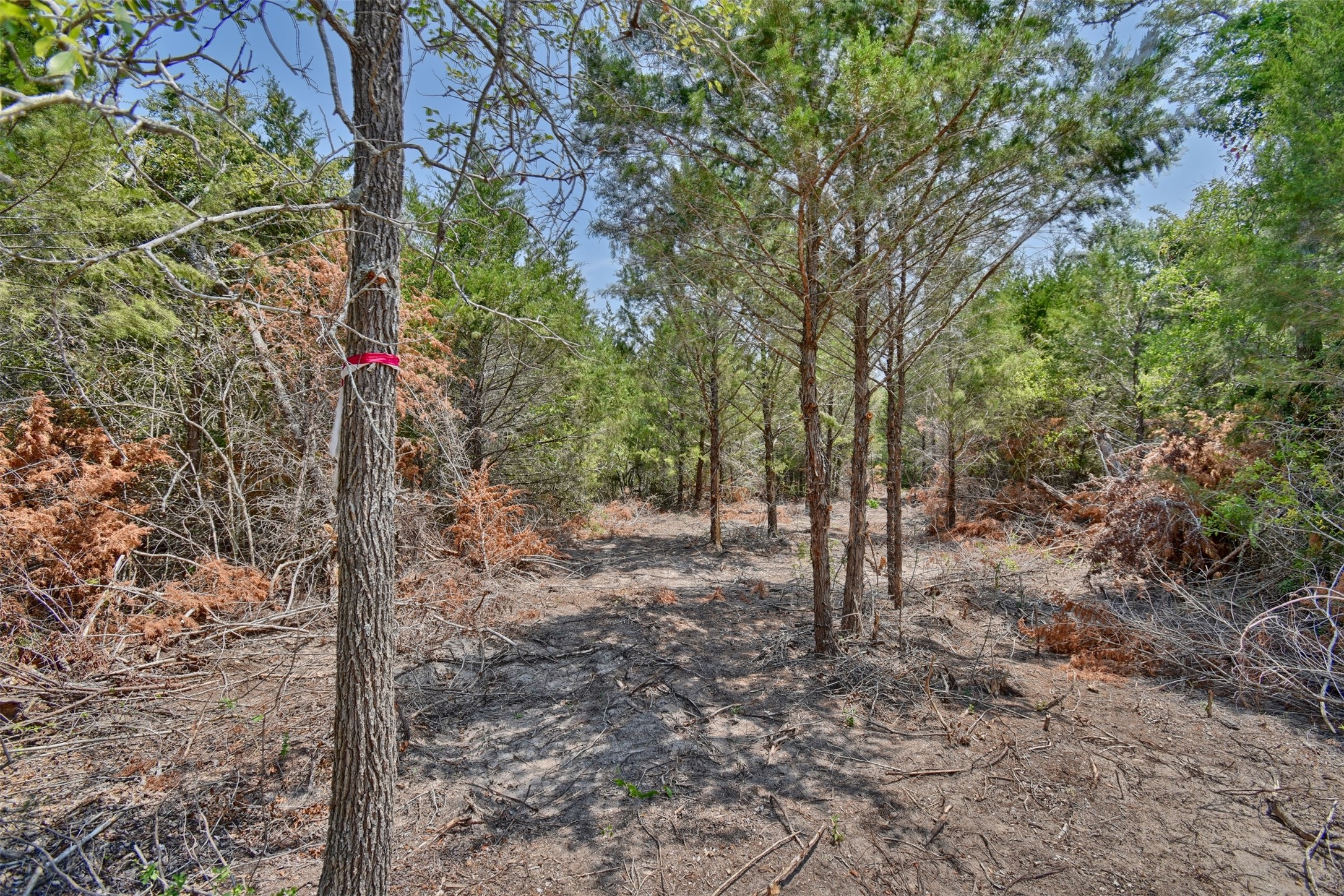 000 Fm 60 Property Photo 20