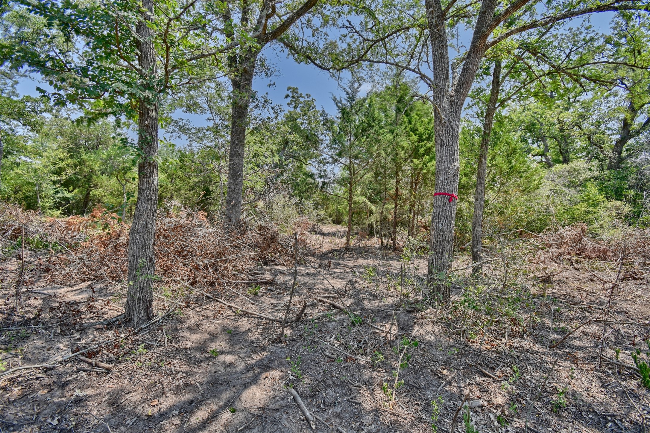 000 Fm 60 Property Photo 21