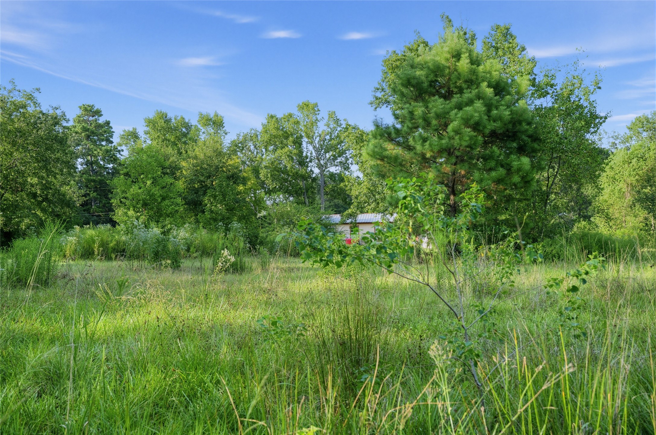 16887 Main Street Property Photo 6