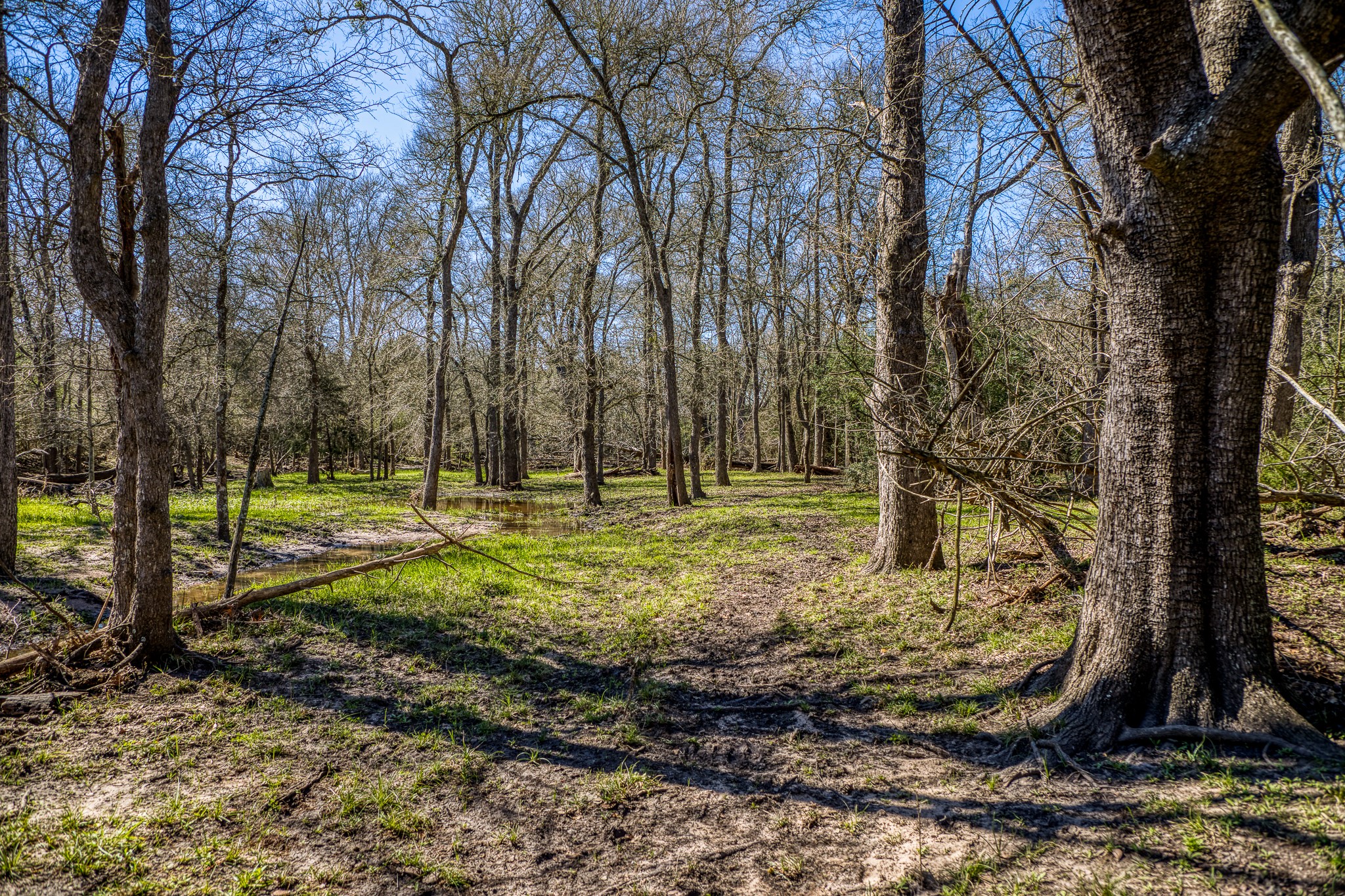 444 N Nassau Road Property Photo 4