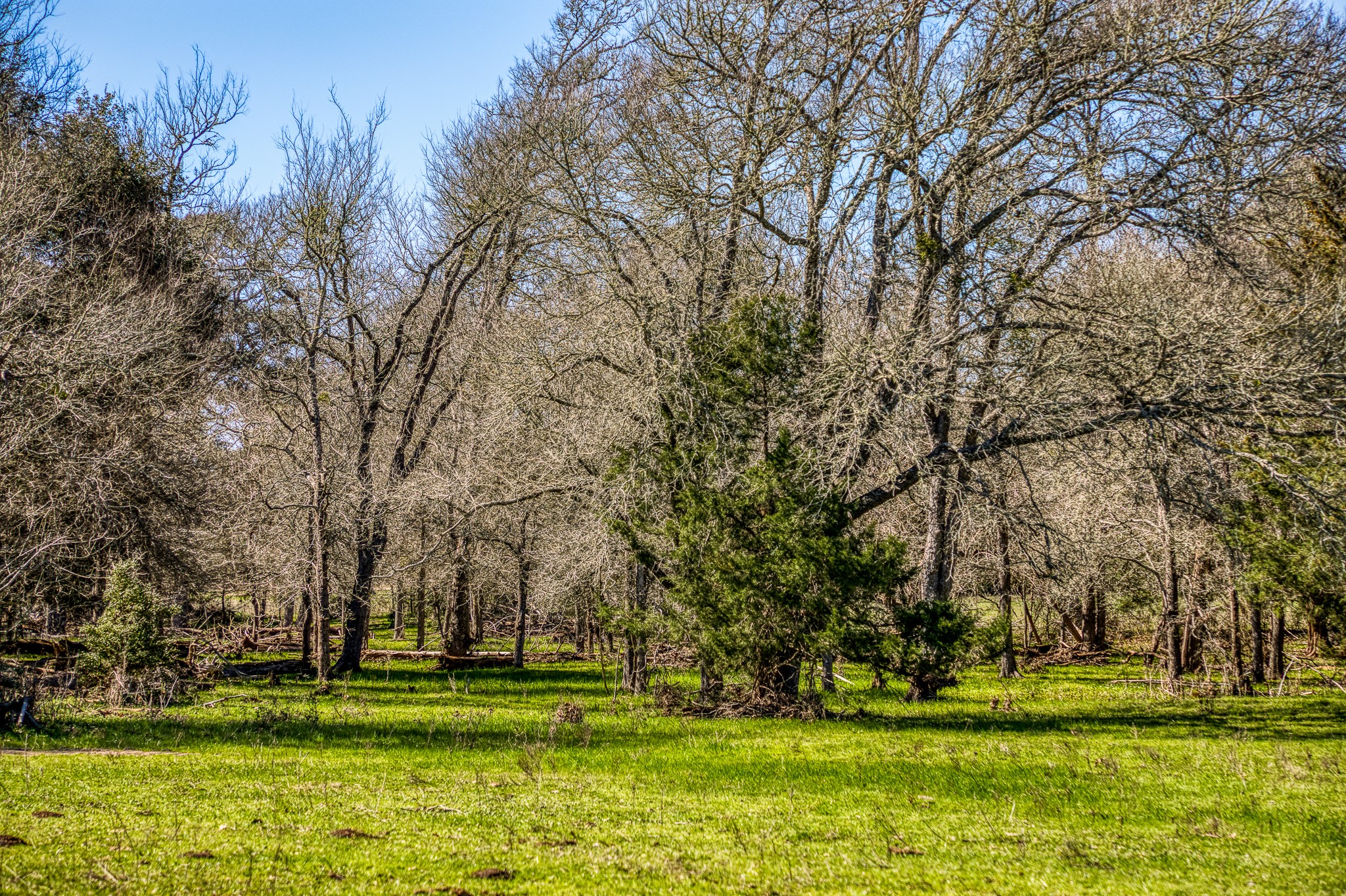 444 N Nassau Road Property Photo 10