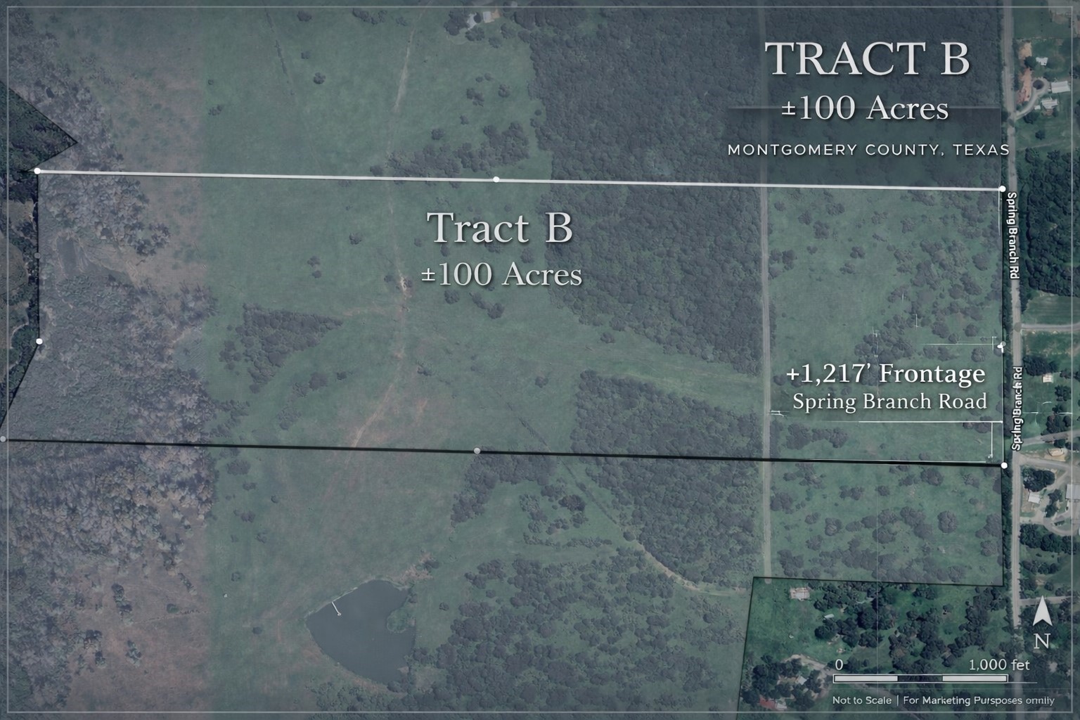 100 Acres Spring Branch Road Property Photo