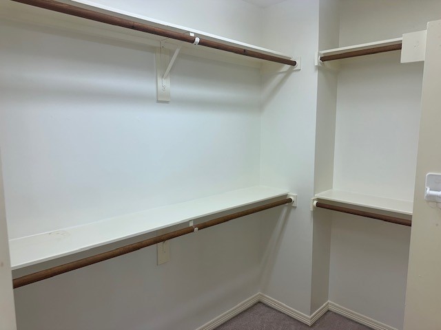 1030 Forestburg Drive Property Photo 15
