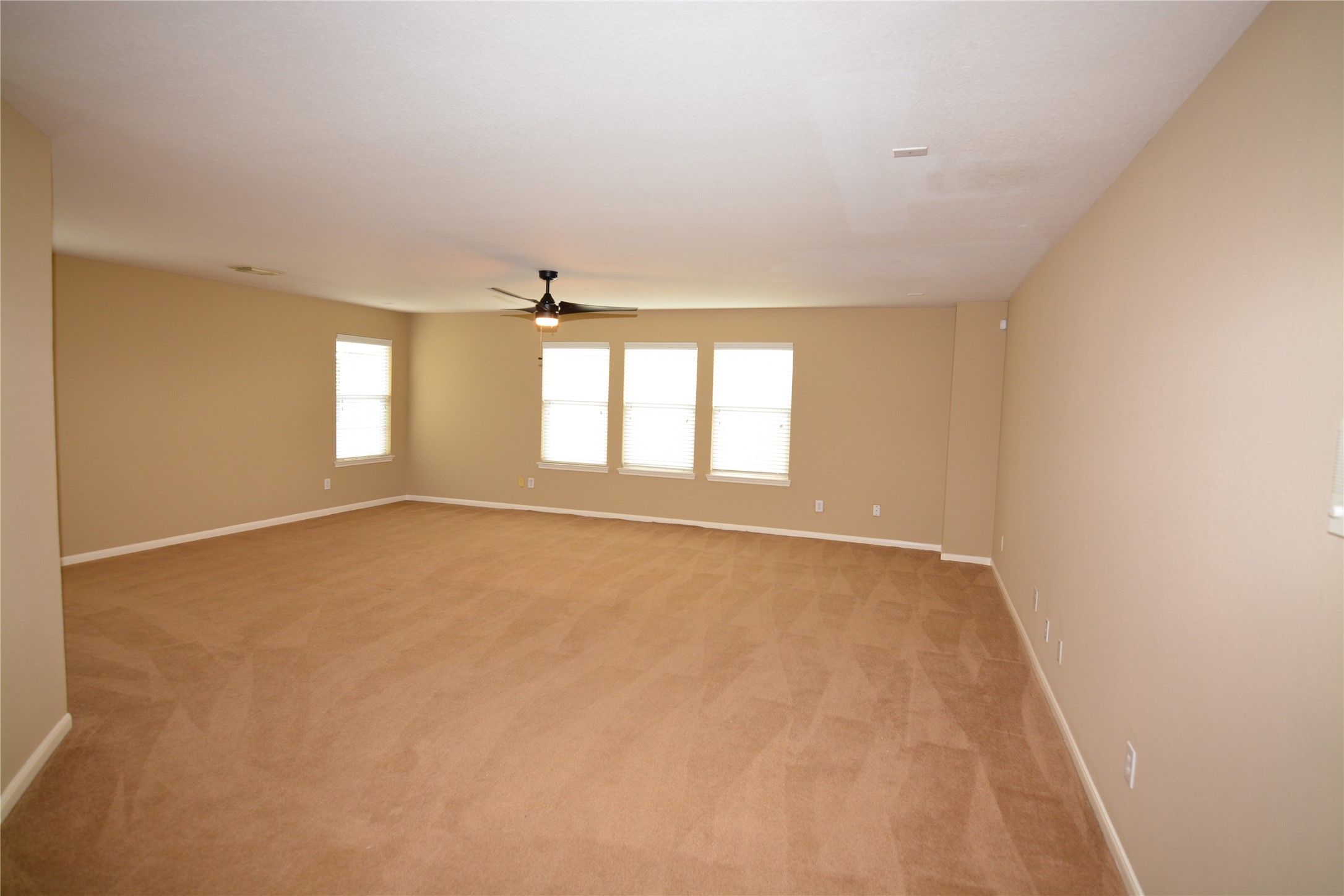 3903 Brighton Springs Lane Property Photo 18