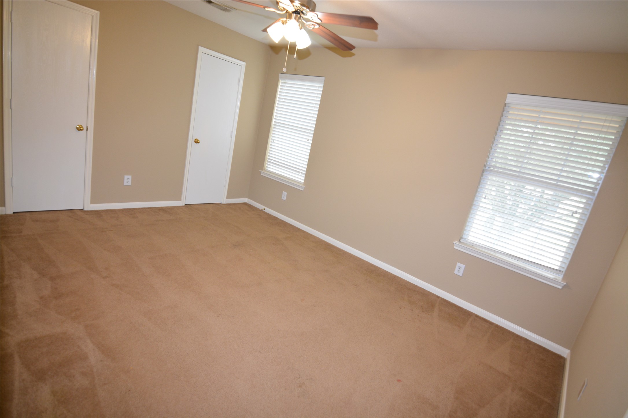 3903 Brighton Springs Lane Property Photo 19
